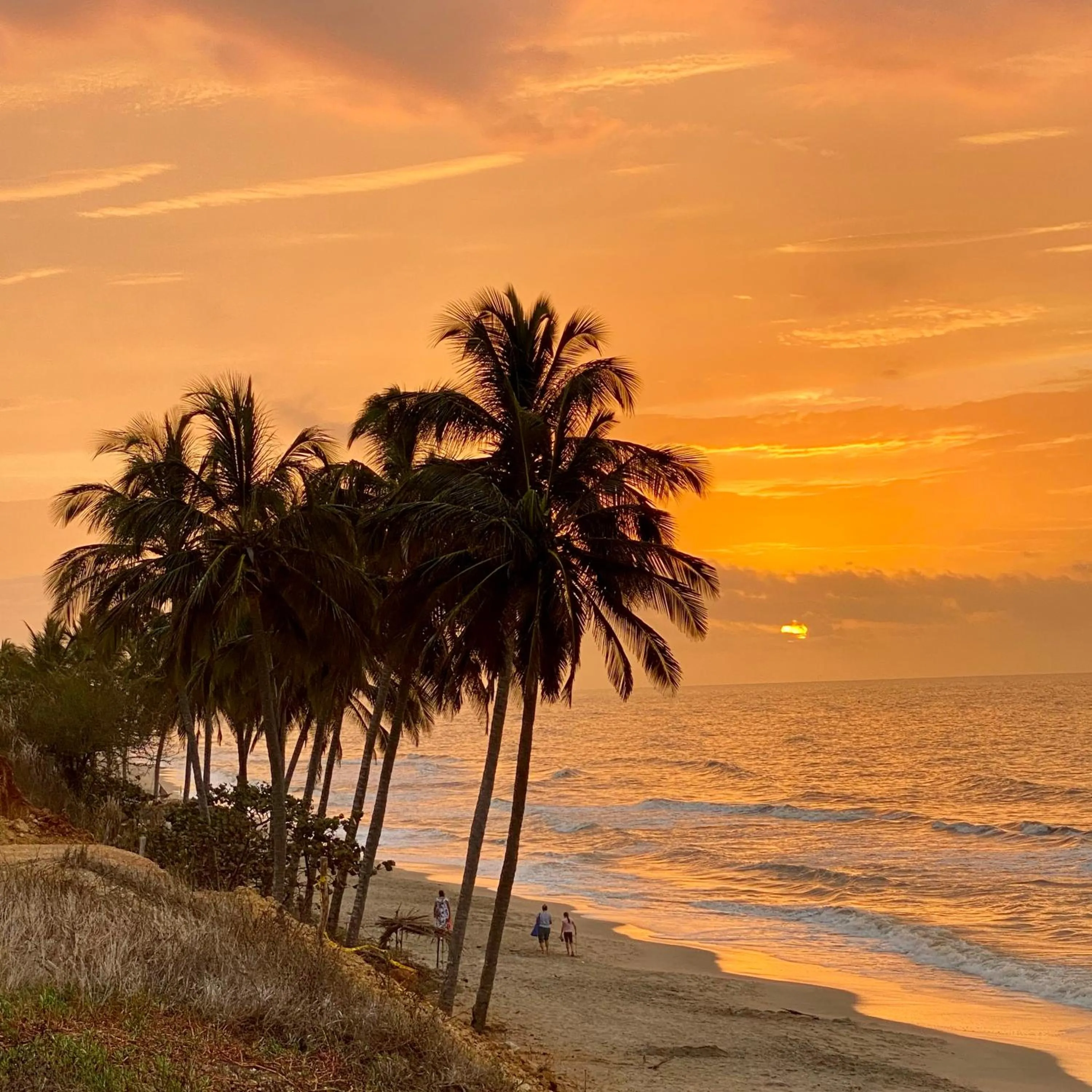 Natural landscape in RCH LUXURY HOTEL & POOL