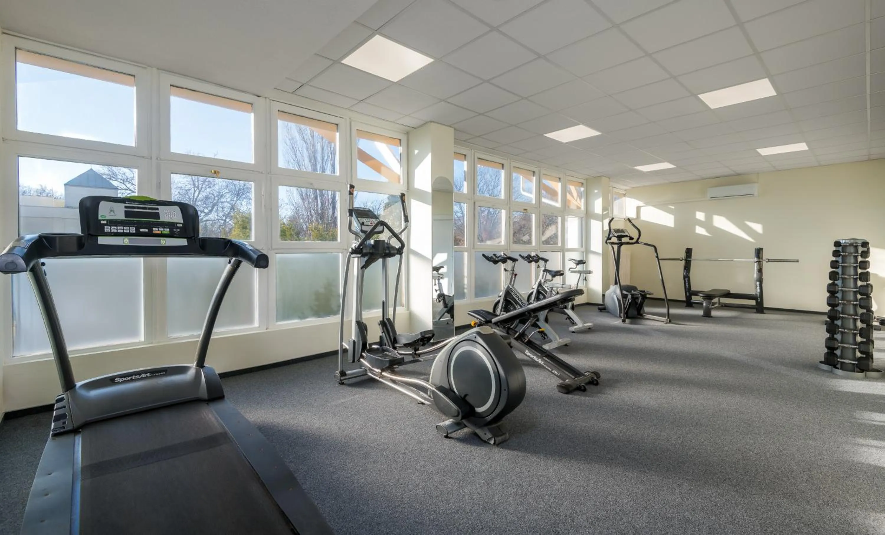 Fitness centre/facilities in Hunguest Hotel Flóra