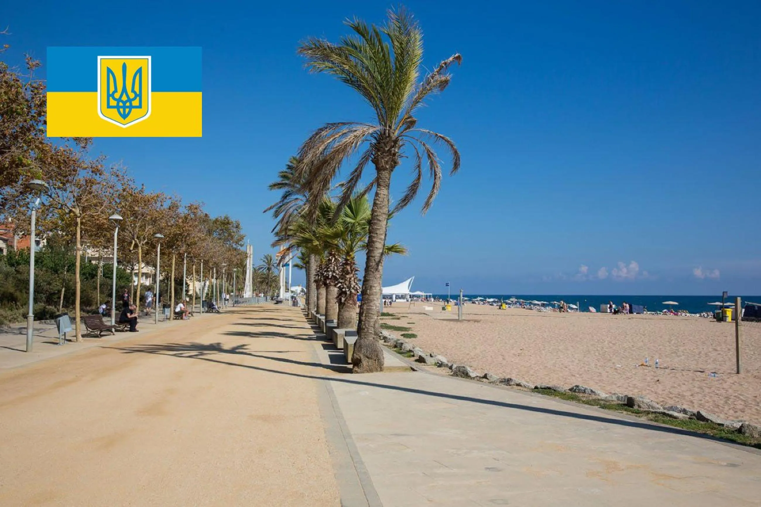 Natural landscape in COLIBRI