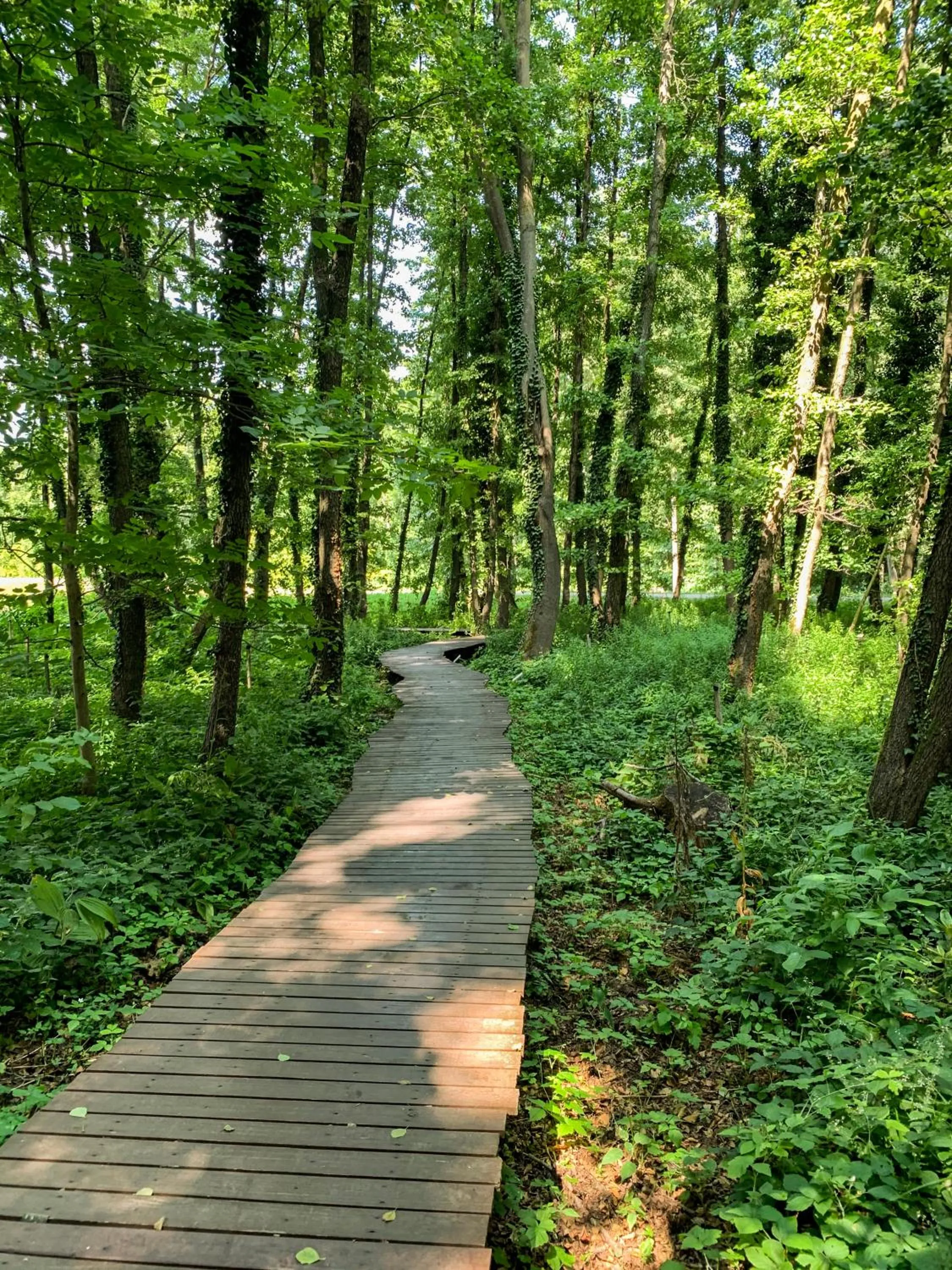 Nearby landmark in Hunguest Hotel Freya
