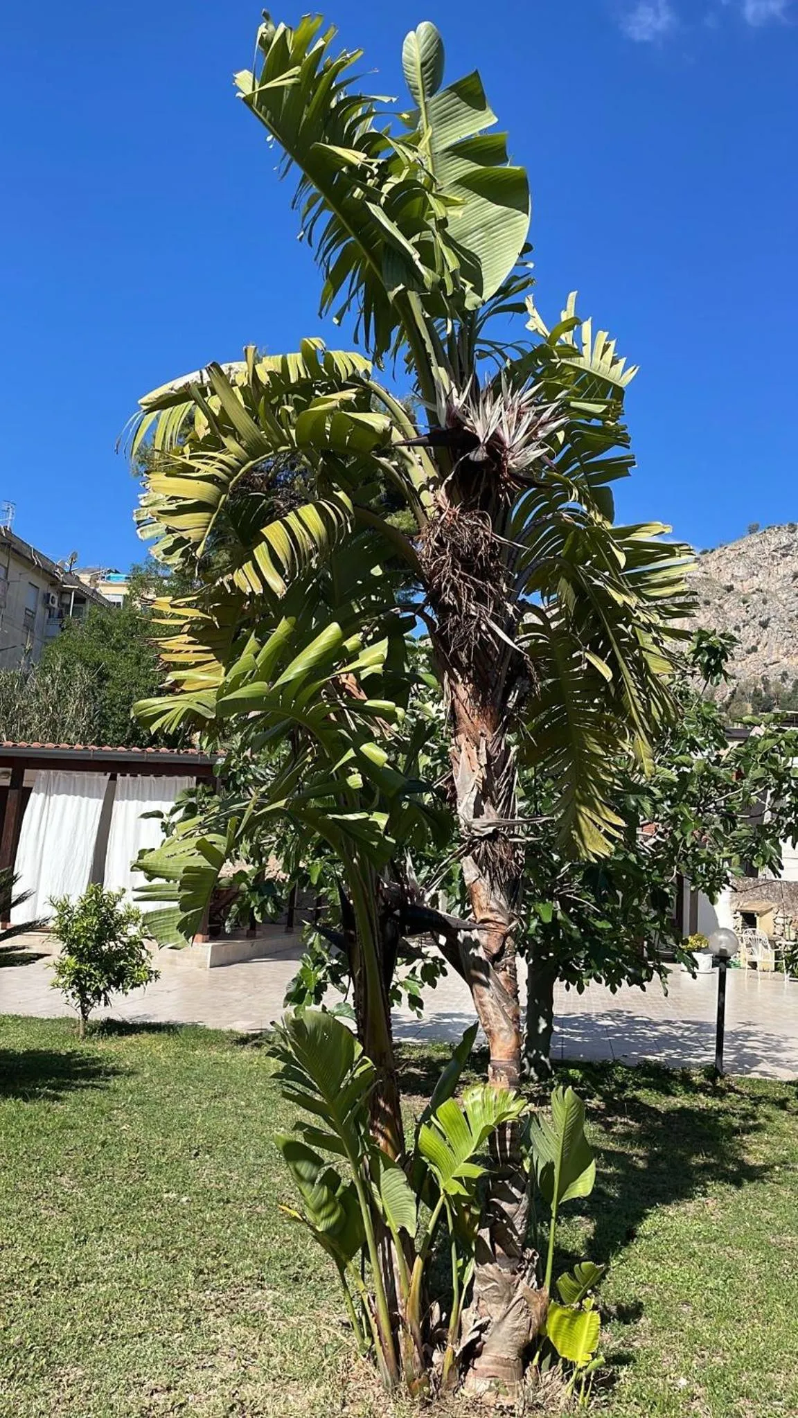 Campofelice Casa vacanza