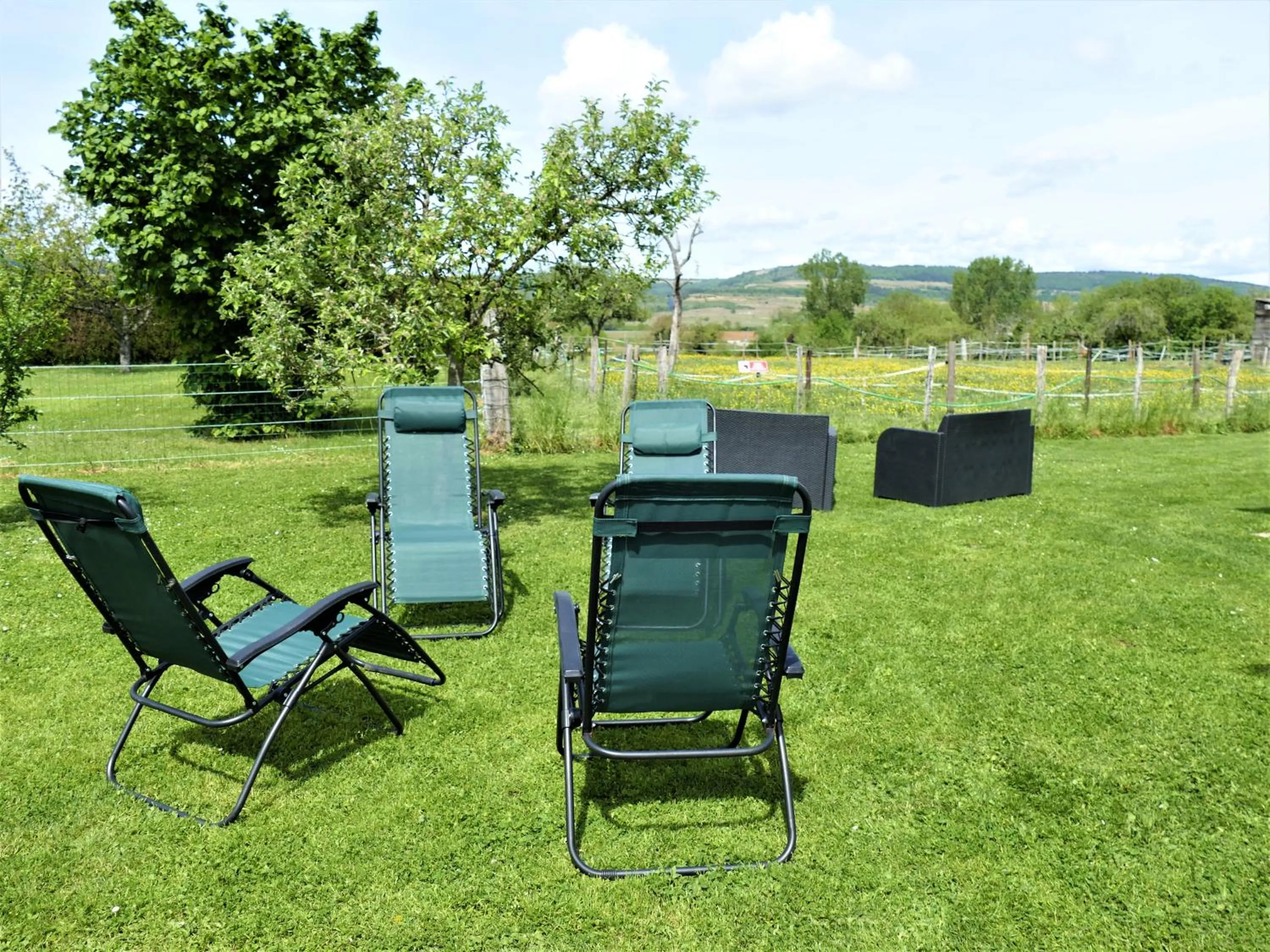Garden in Les Grands Crus - Gîte "Pommard"