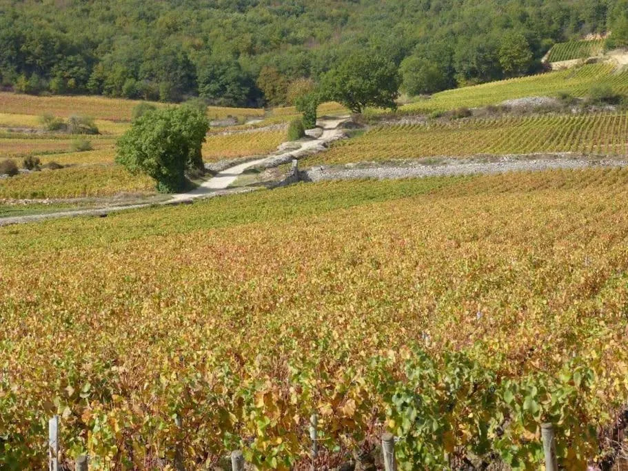 Les Grands Crus - Gîte "Pommard"