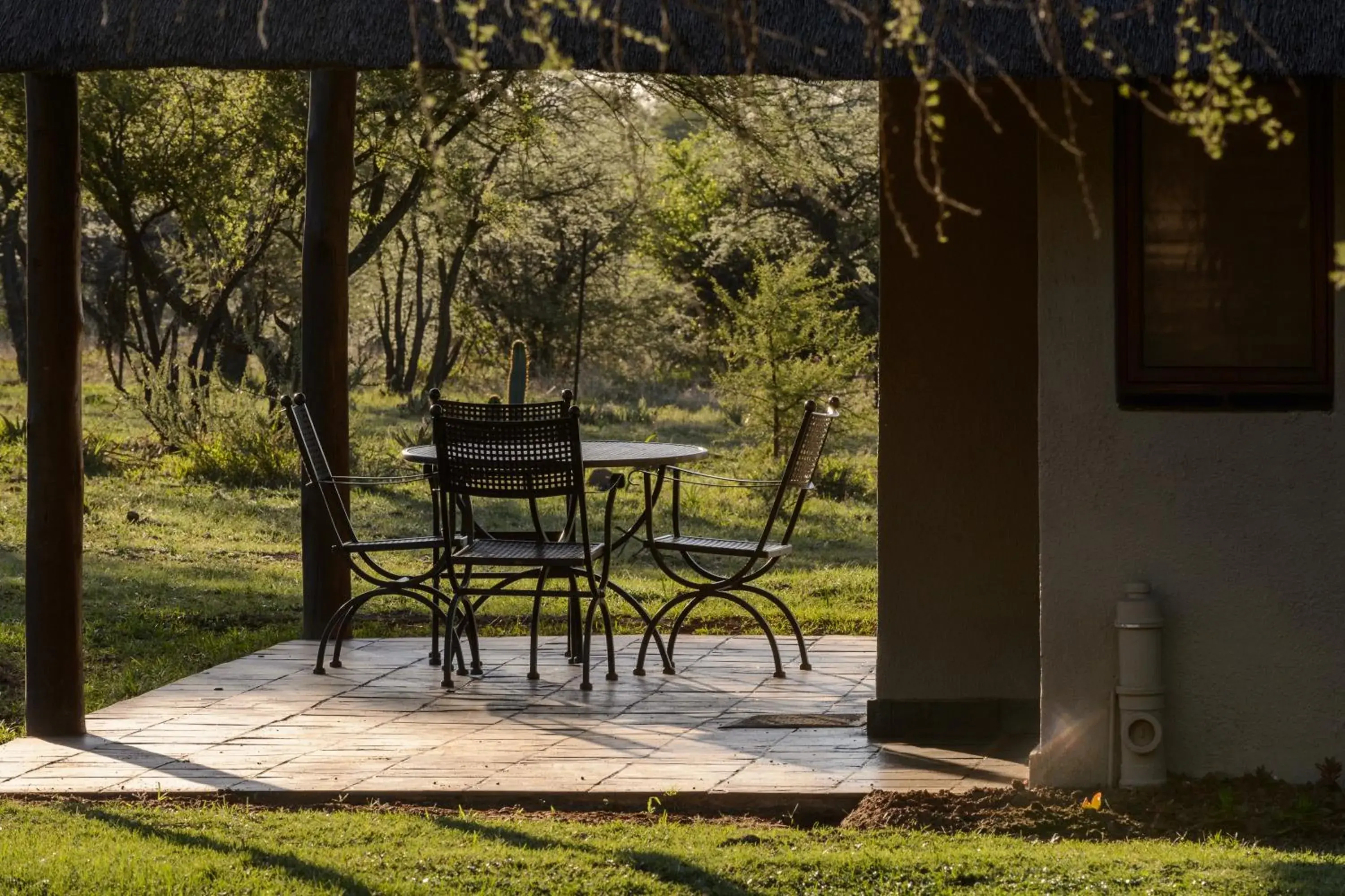 Family Room with Shared Bathroom - single occupancy in Mongena Private Game Lodge Family Room with Shared Bathroom - single occupancy in Mongena Private Game Lodge