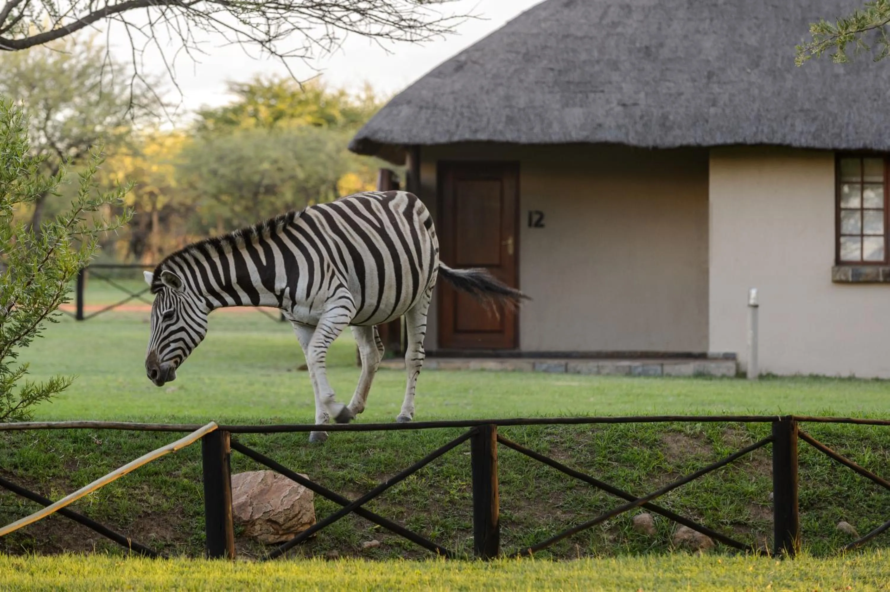View (from property/room) in Mongena Private Game Lodge