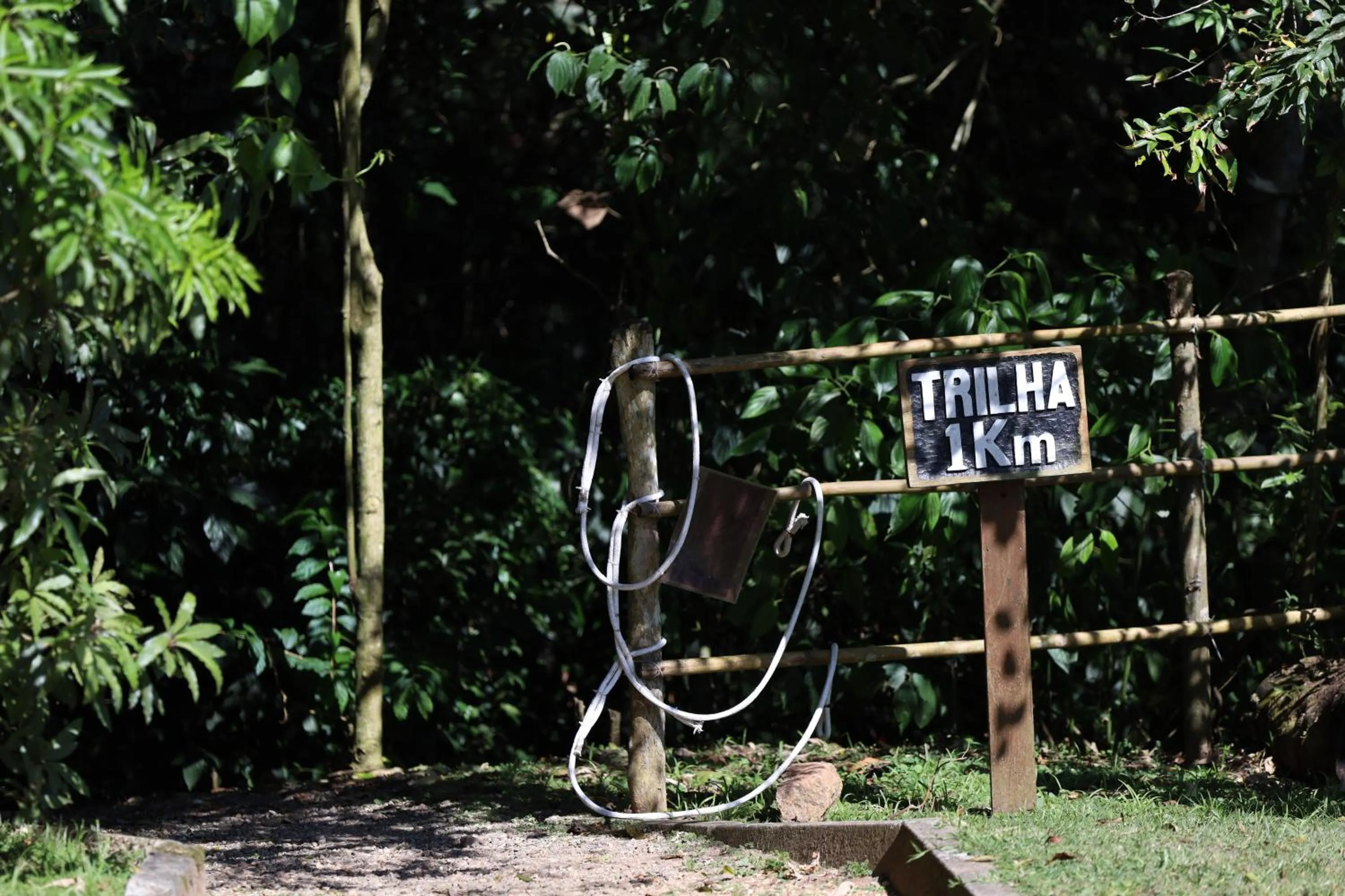 Garden in Almenat Embu Das Artes Sao Paulo, Tapestry Collection
