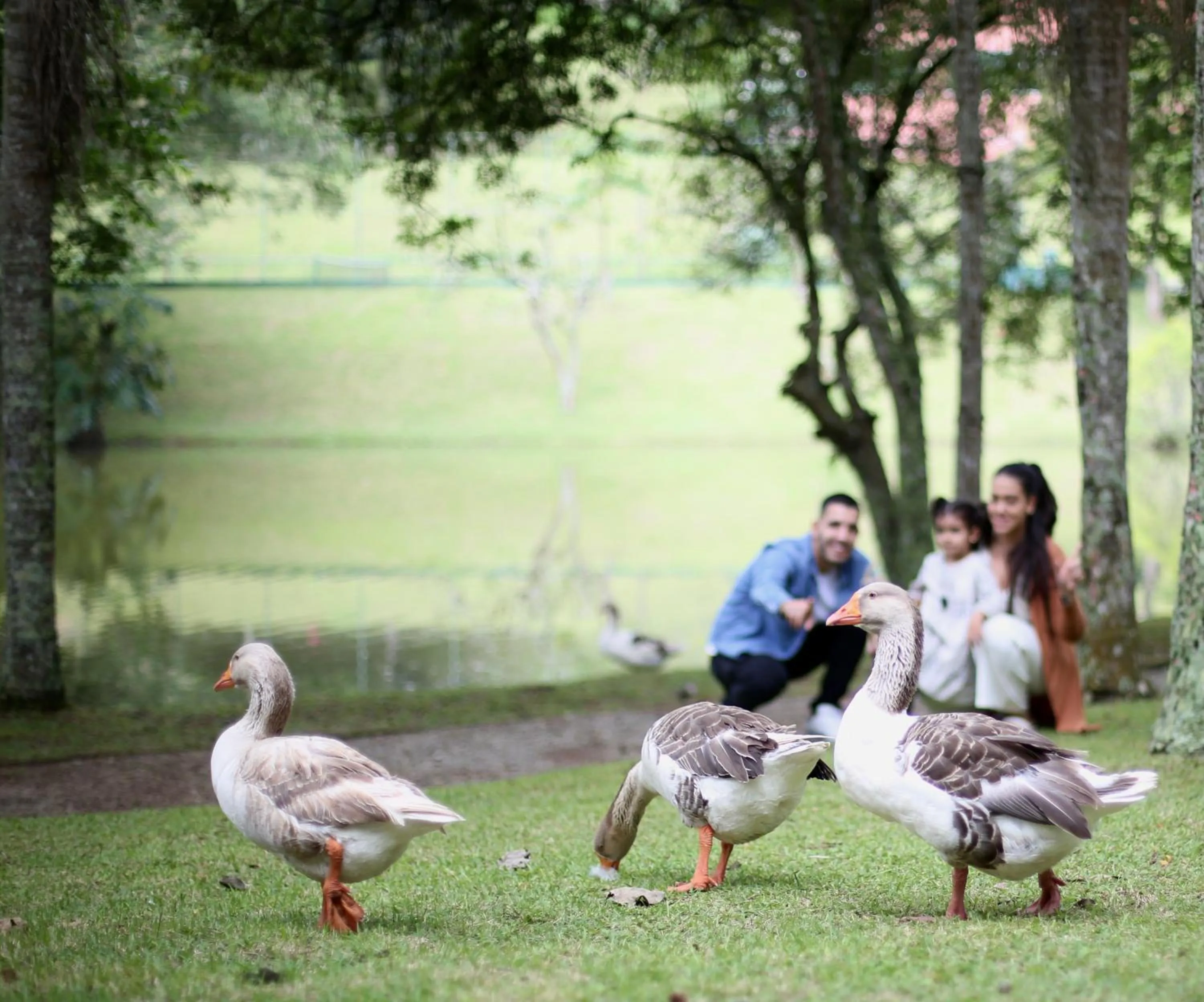 Garden in Almenat Embu Das Artes Sao Paulo, Tapestry Collection