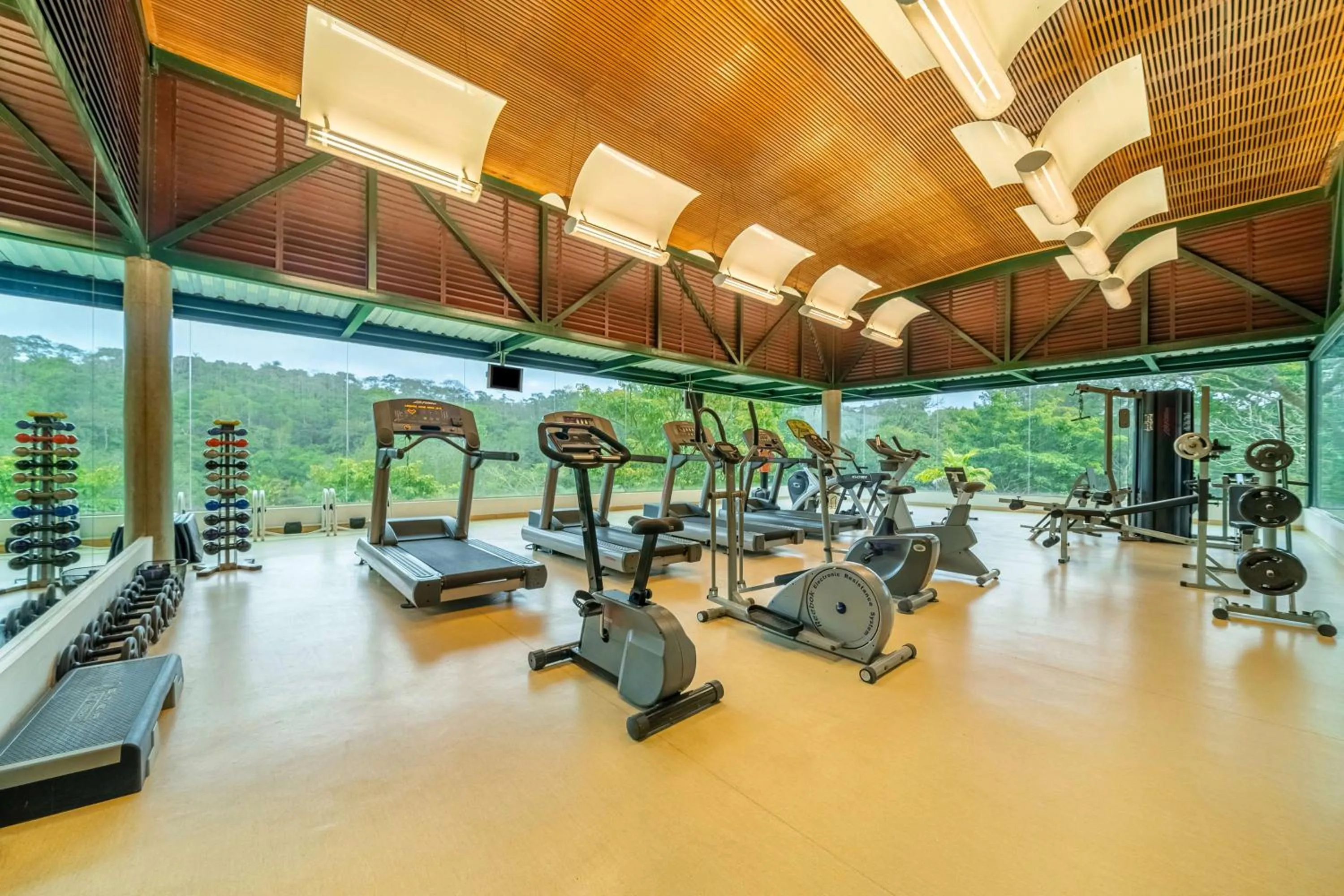 Fitness centre/facilities in Almenat Embu Das Artes Sao Paulo, Tapestry Collection