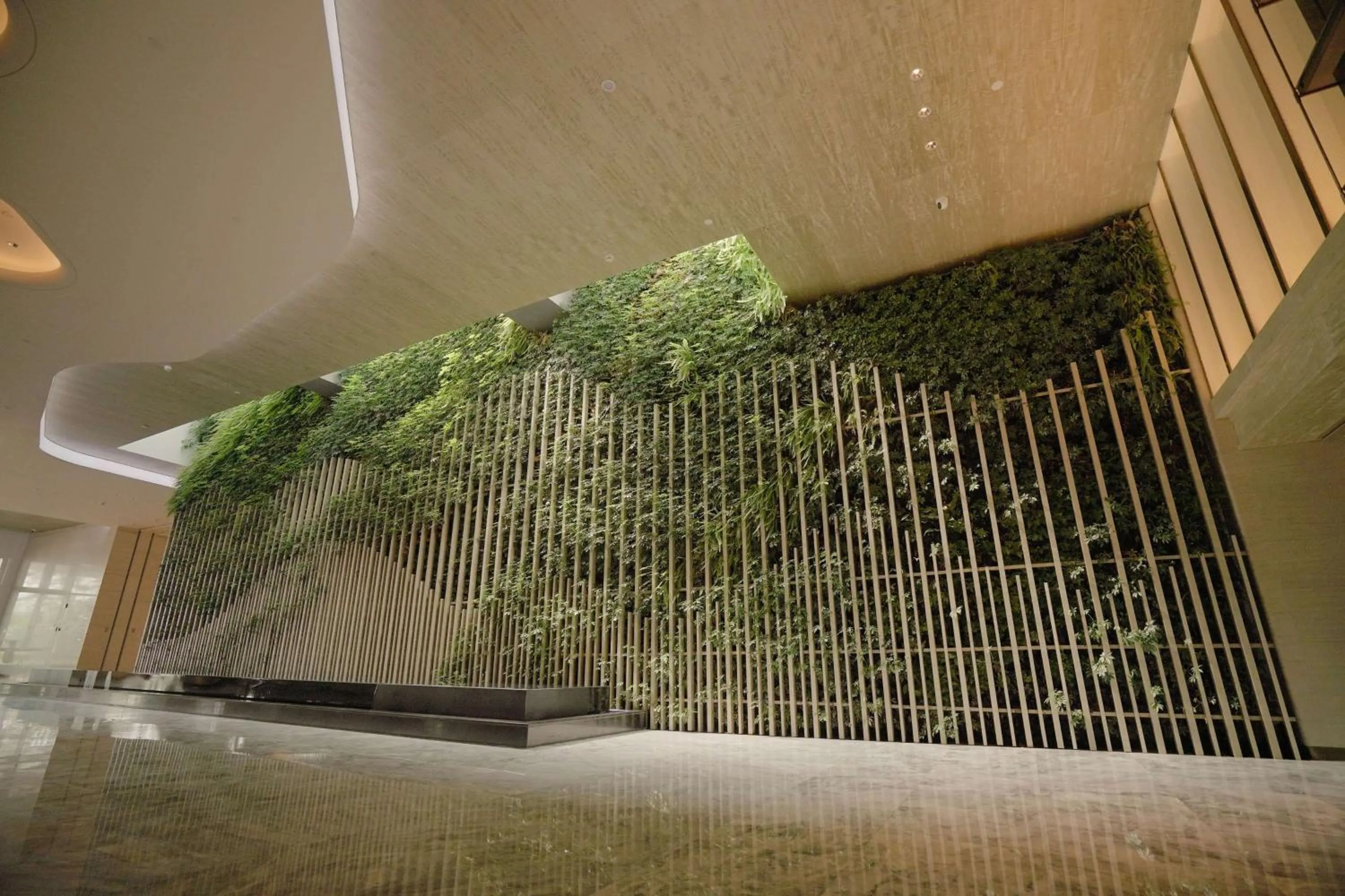 Lobby or reception in Wyndham Garden Jinjiang