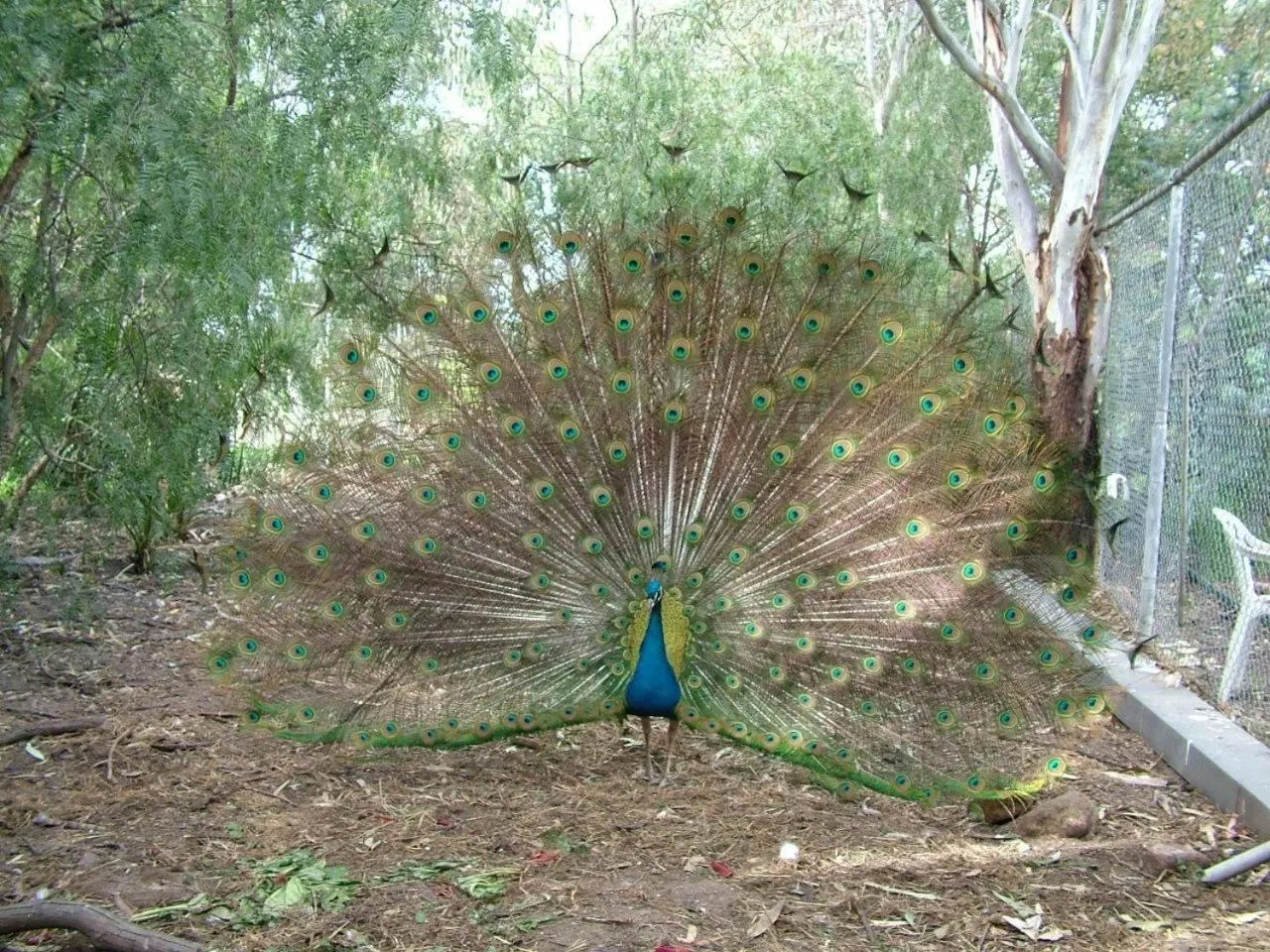The Old Butter Factory at Springhurst Estate