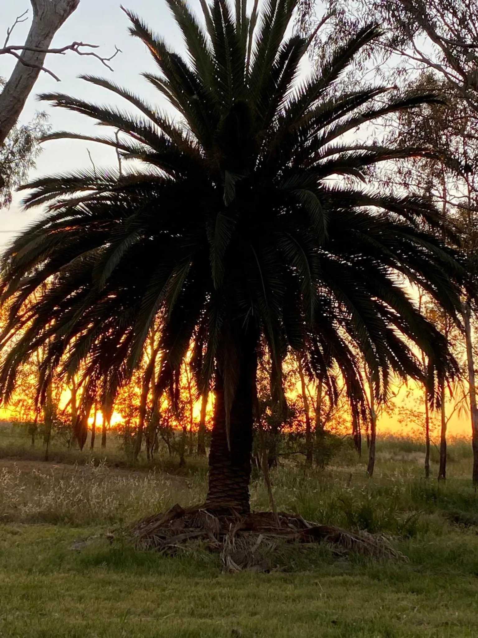 Natural landscape in The Old Butter Factory at Springhurst Estate