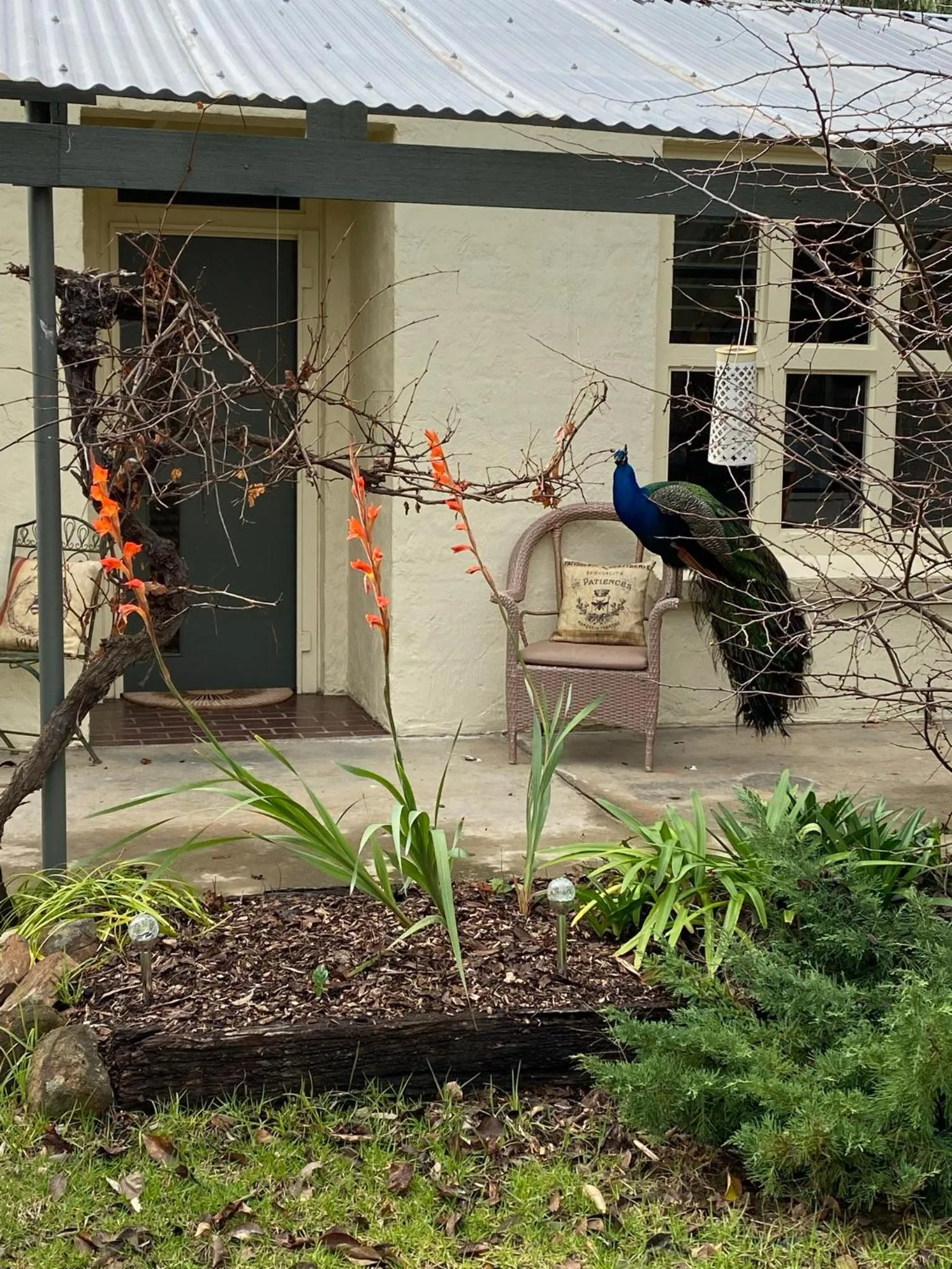 Patio in The Old Butter Factory at Springhurst Estate