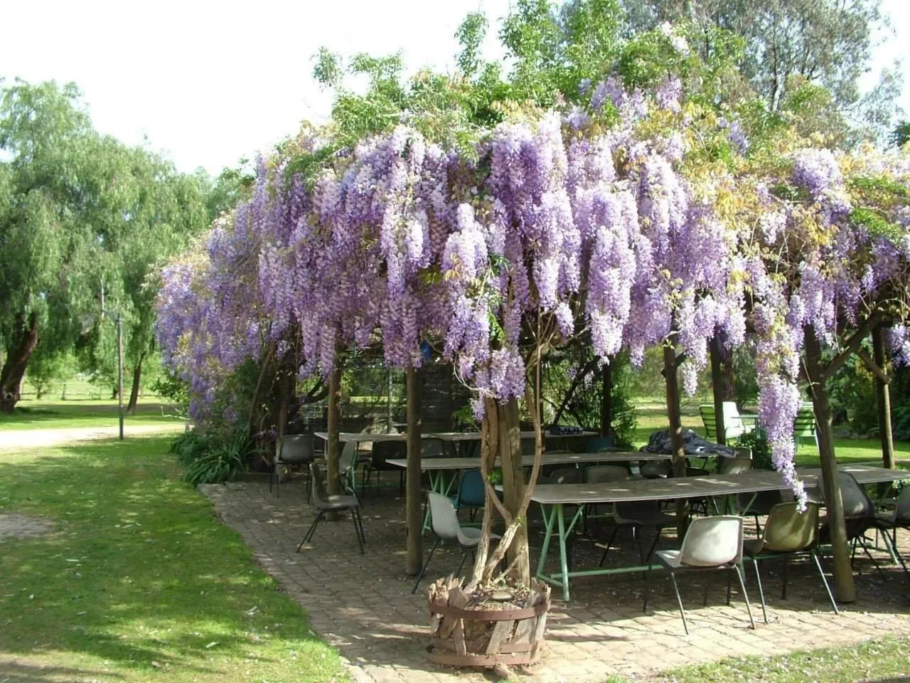 The Old Butter Factory at Springhurst Estate