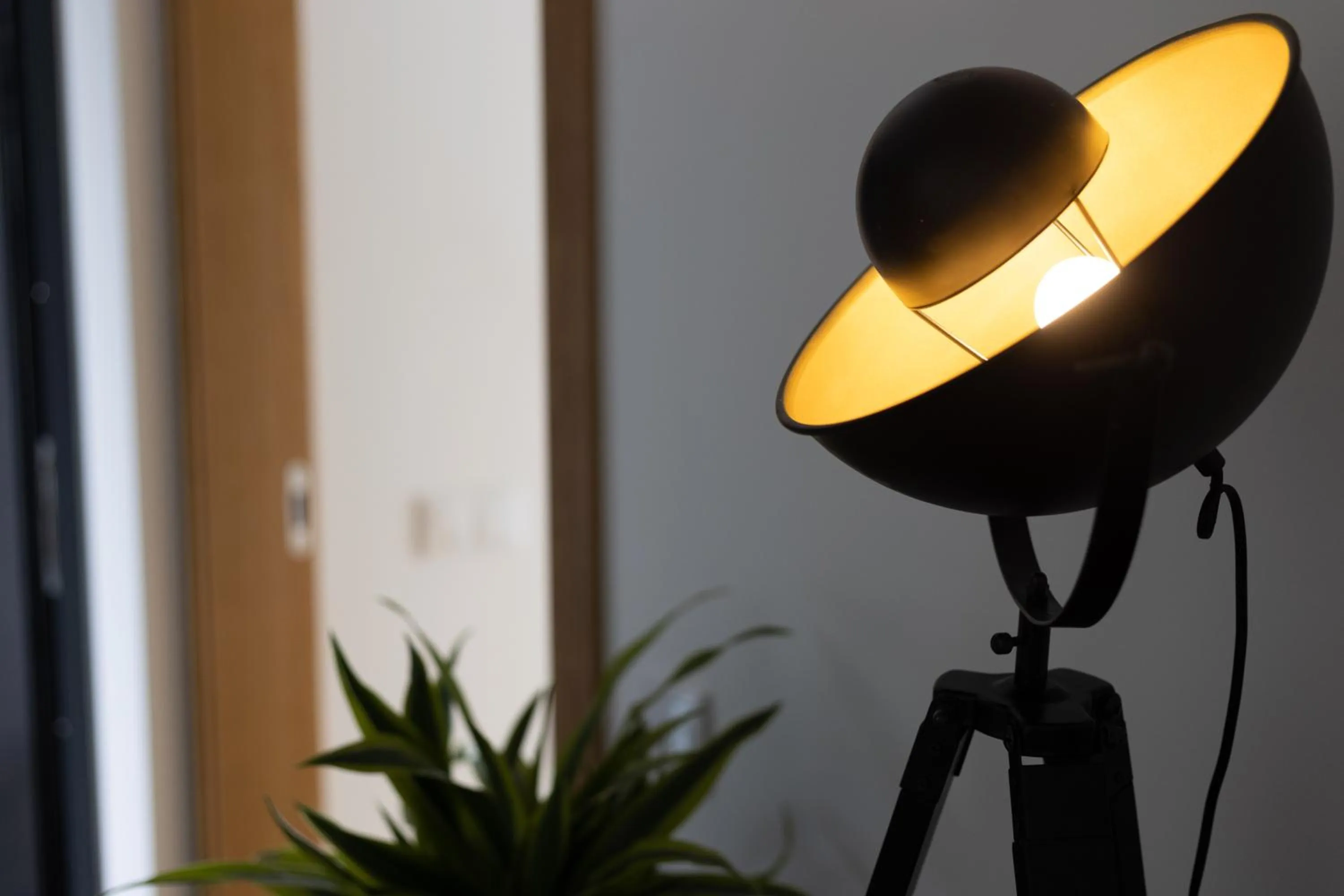 Abraços dos Avós - Casas de aldeia