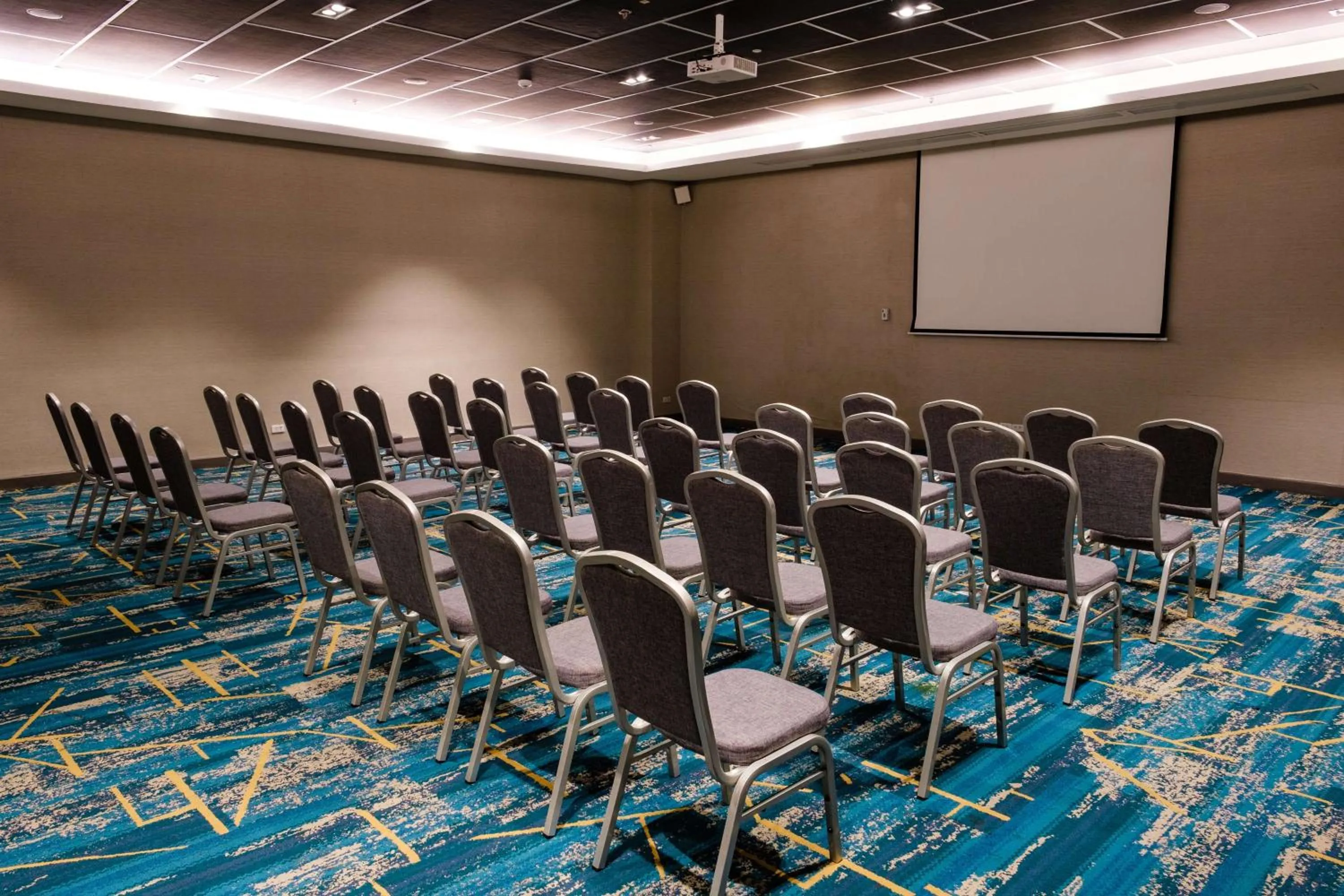 Meeting/conference room in Park Inn By Radisson Bacolod