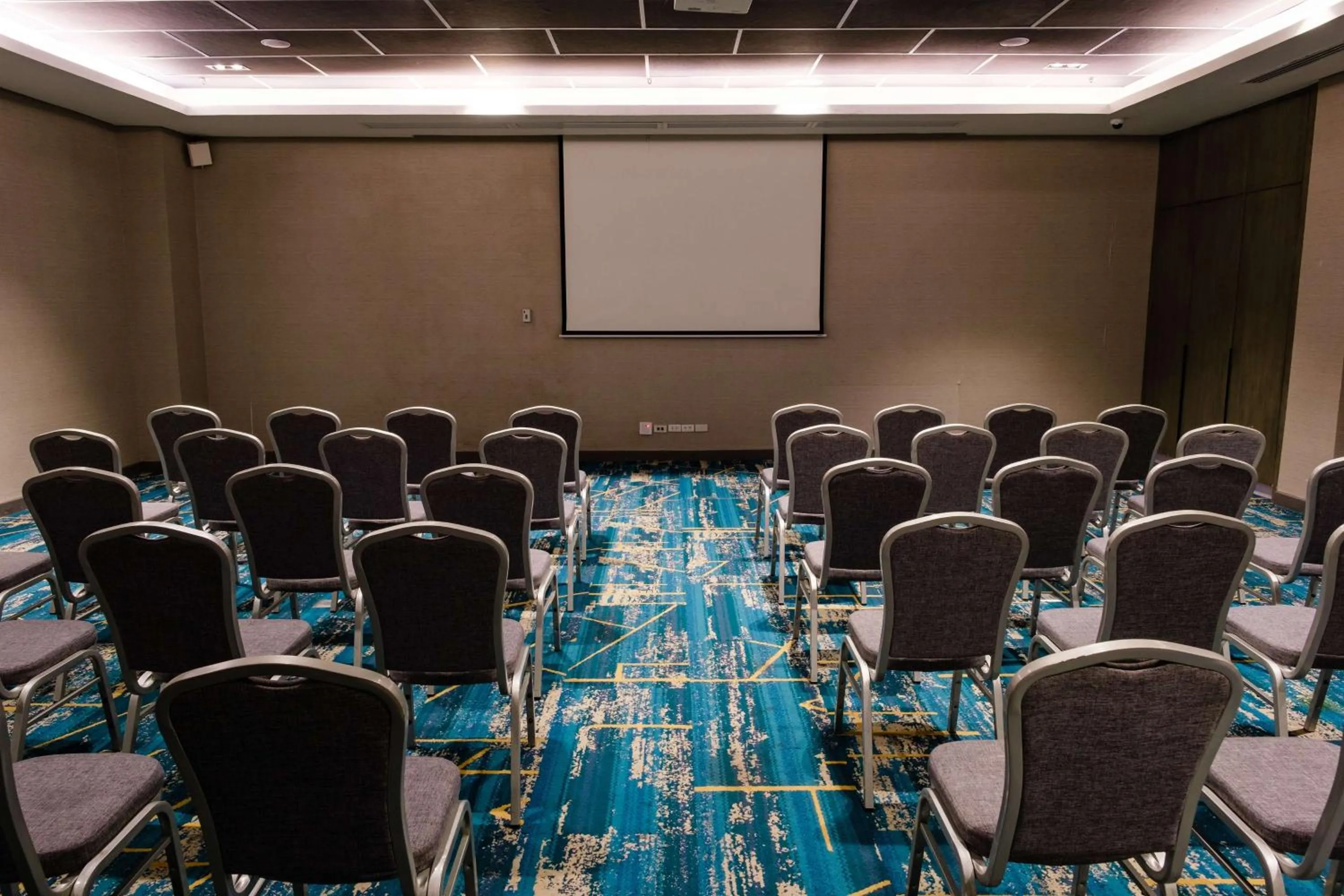 Meeting/conference room in Park Inn By Radisson Bacolod