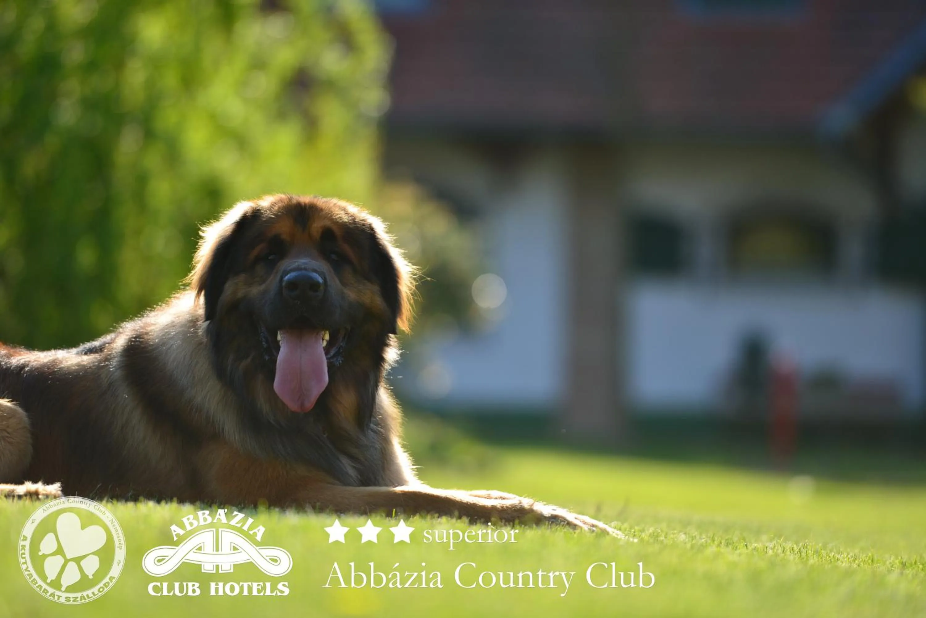 Other in Abbazia Country Club