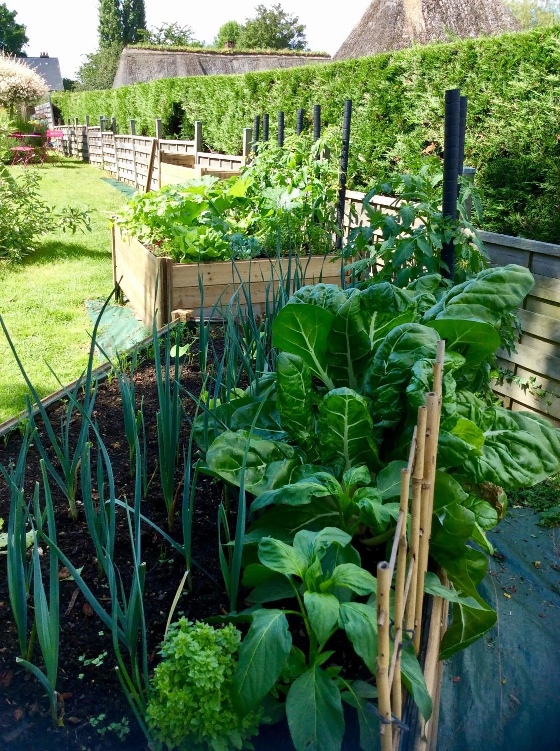 Garden view in Chambres tout confort du Tilleul