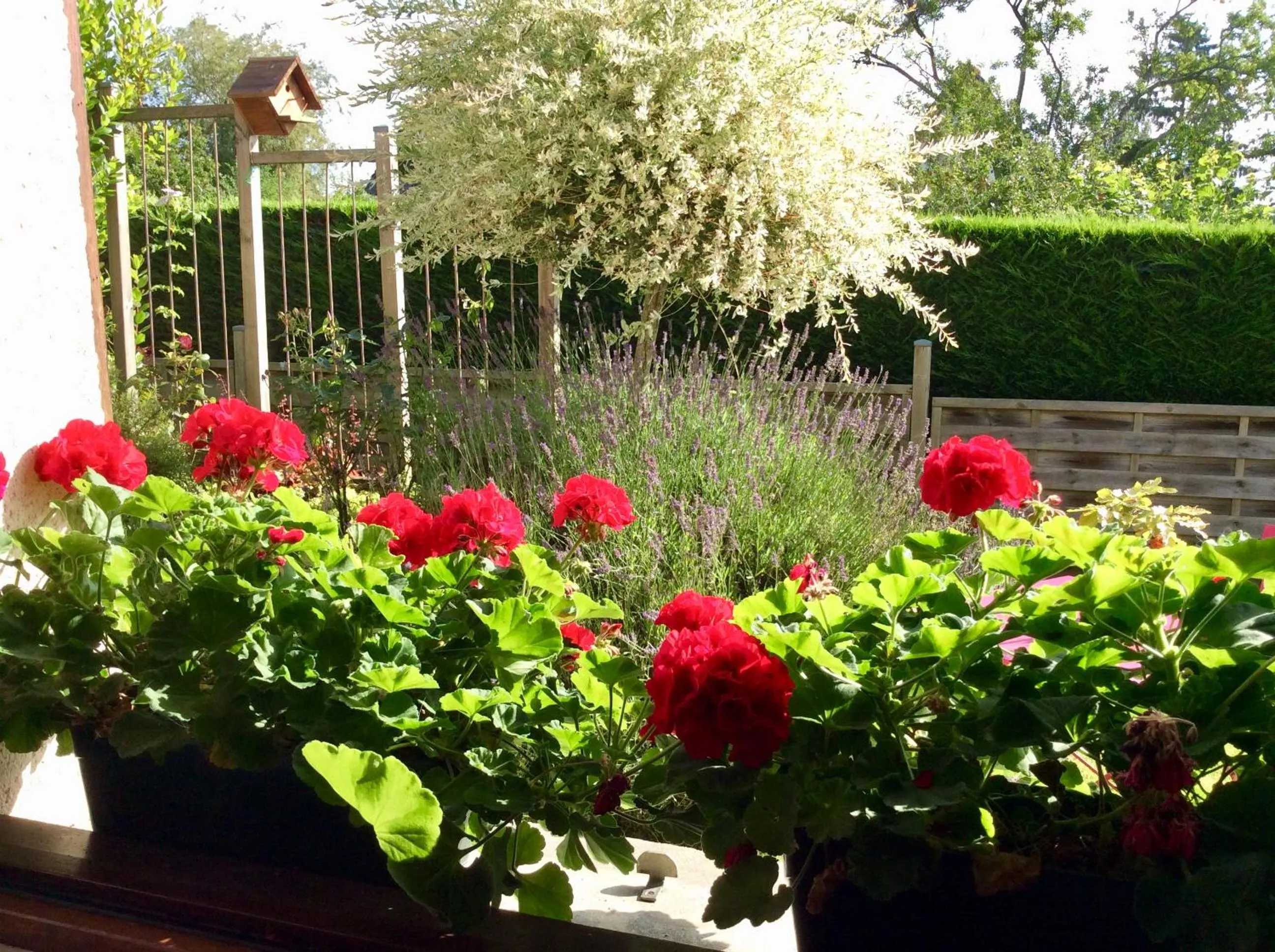 Garden view in Chambres tout confort du Tilleul
