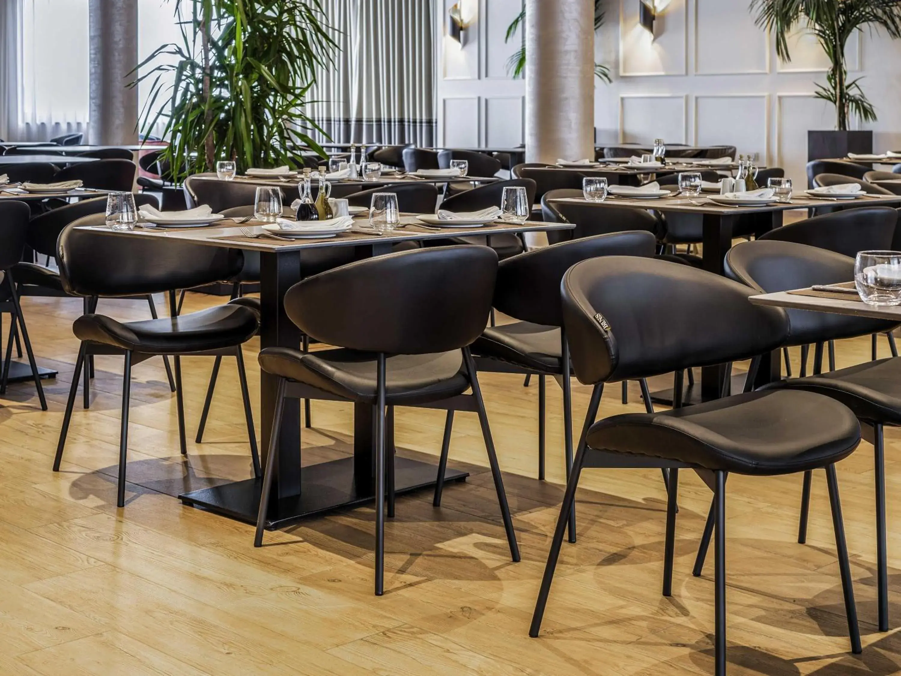 Restaurant/places to eat in Mövenpick Hotel Lalez Durres Restaurant/places to eat in Mövenpick Hotel Lalez Durres