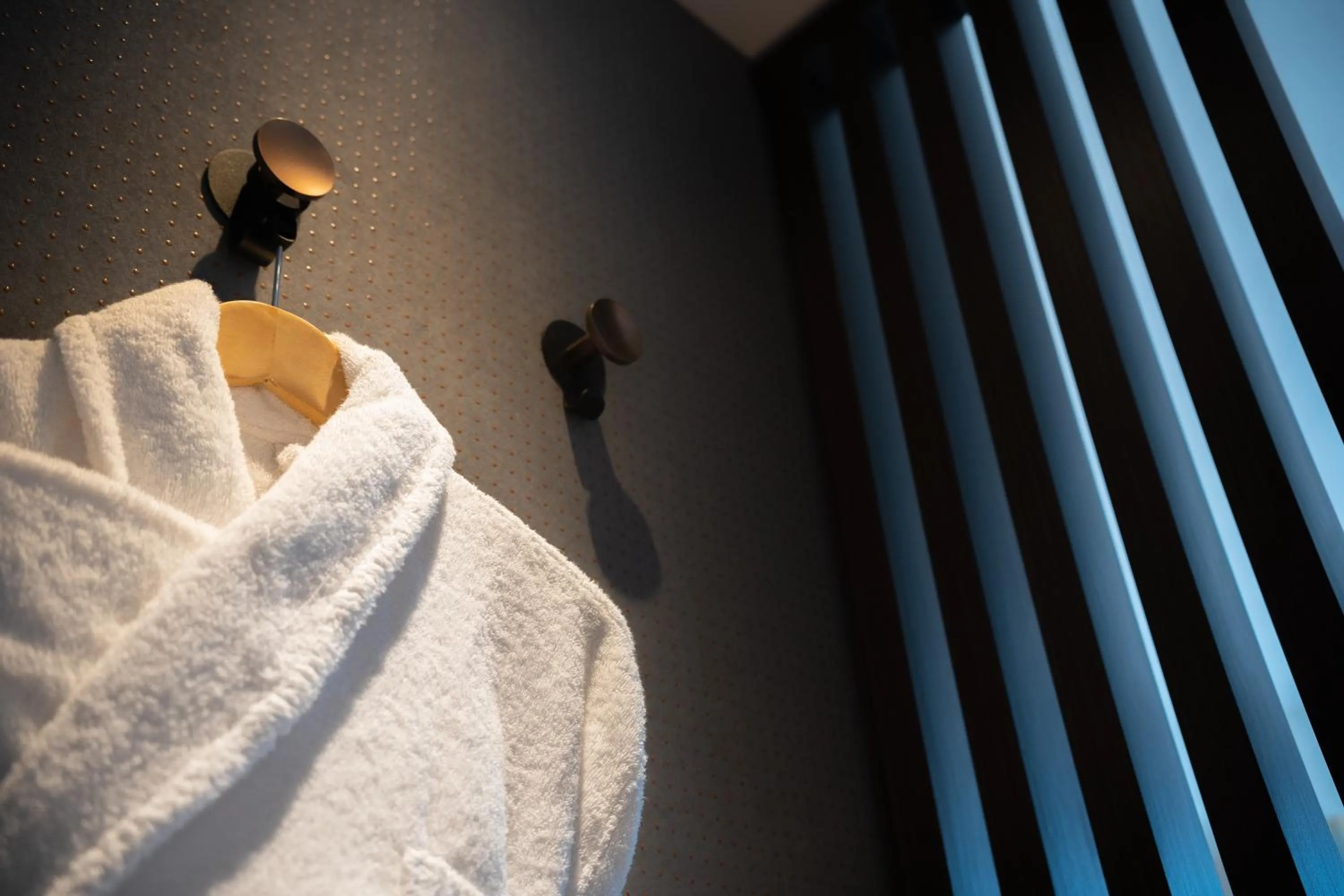 VIP, Bed in Holiday Inn Paris CDG Airport an IHG Hotel