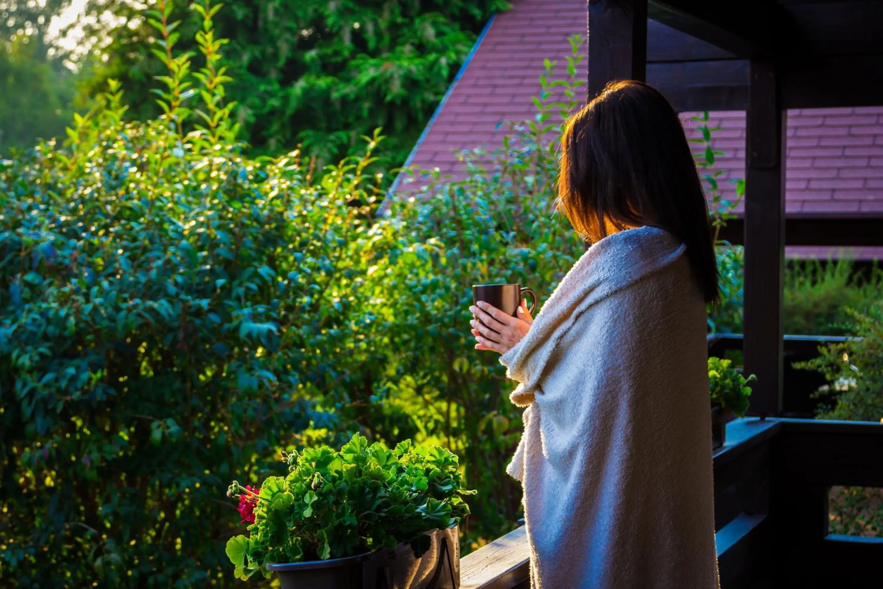 Garden in Petneházy Aparthotel
