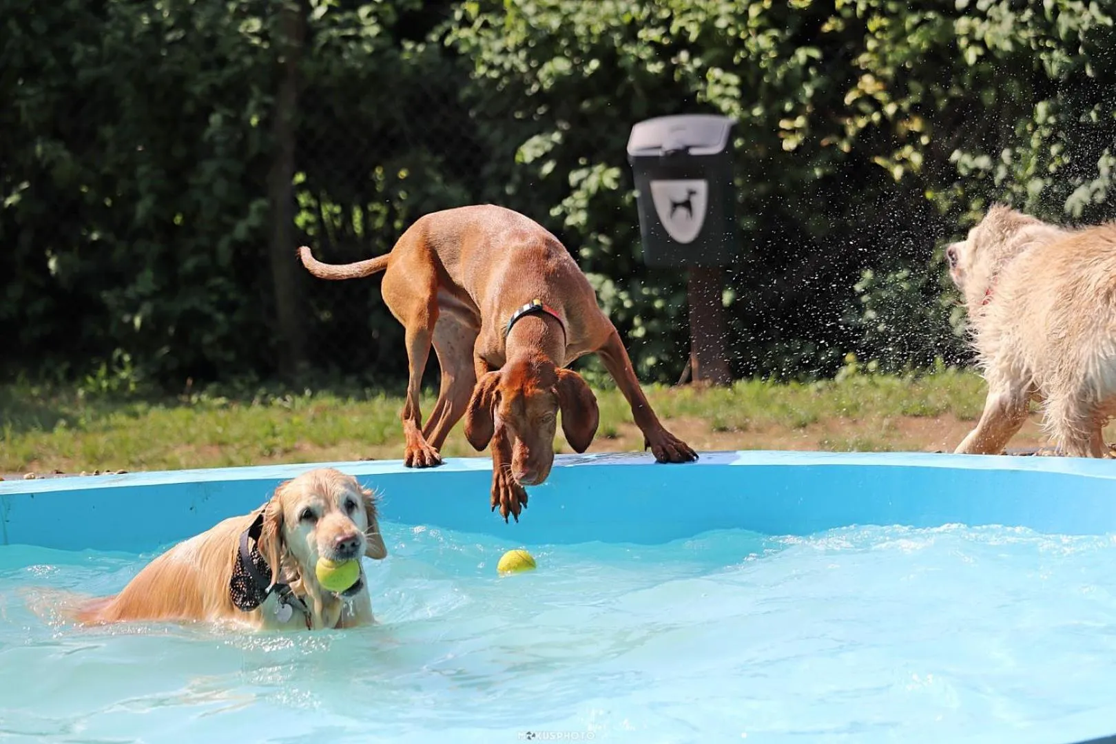 Beach in Petneházy Aparthotel