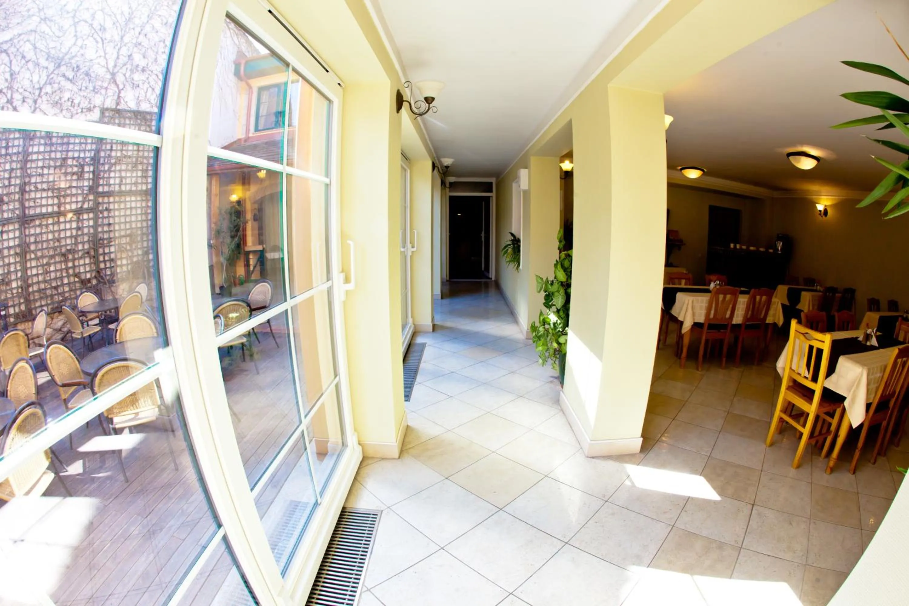 Restaurant/places to eat in Mathias Rex