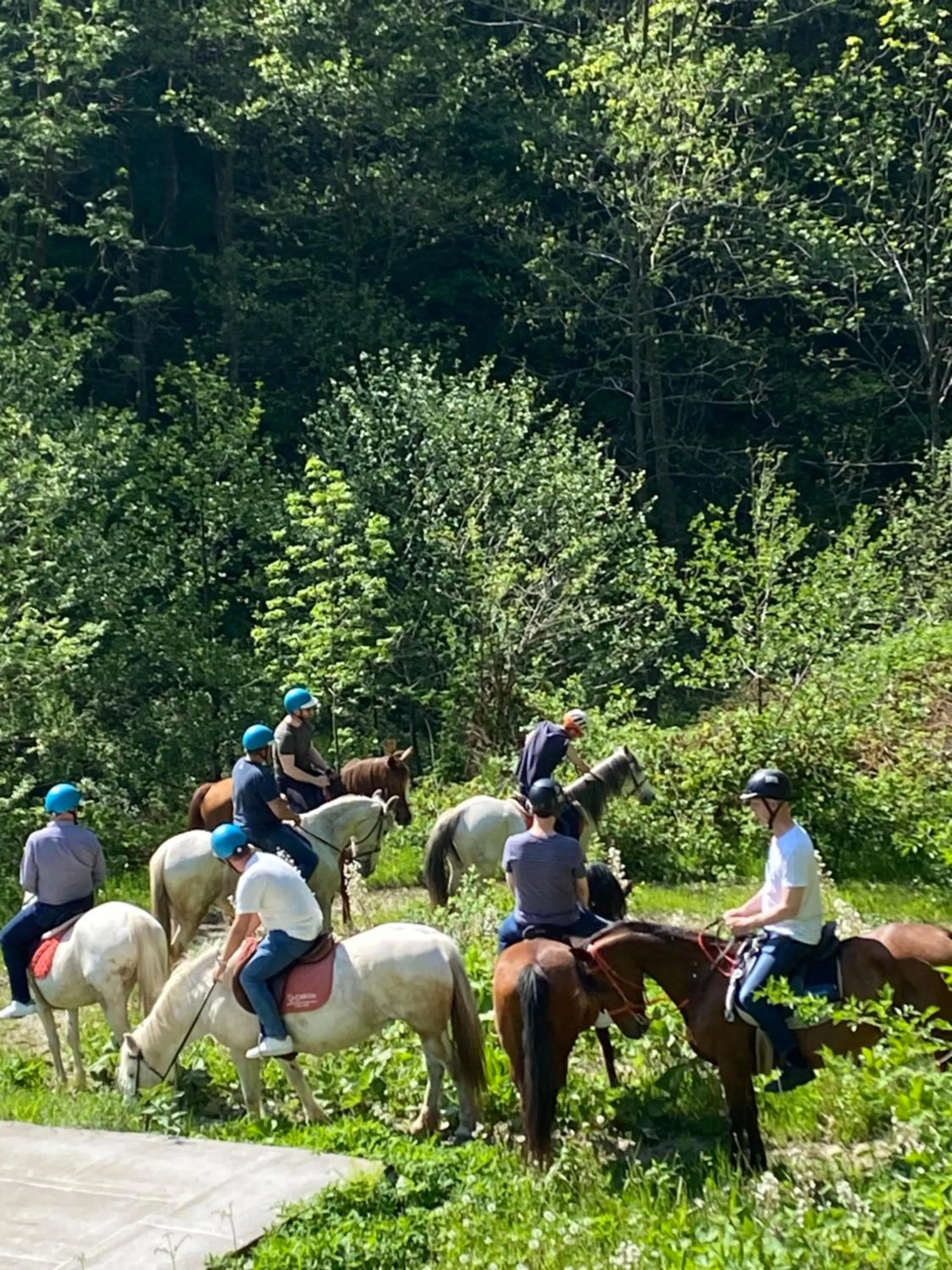 Natural landscape in HOTEL LE FONTI