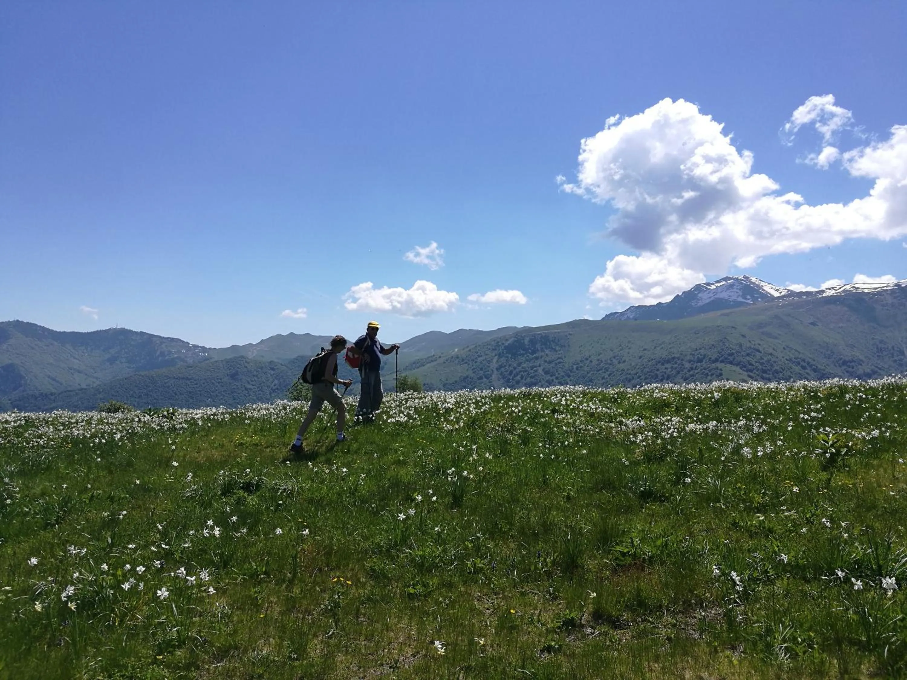 Hiking in HOTEL LE FONTI