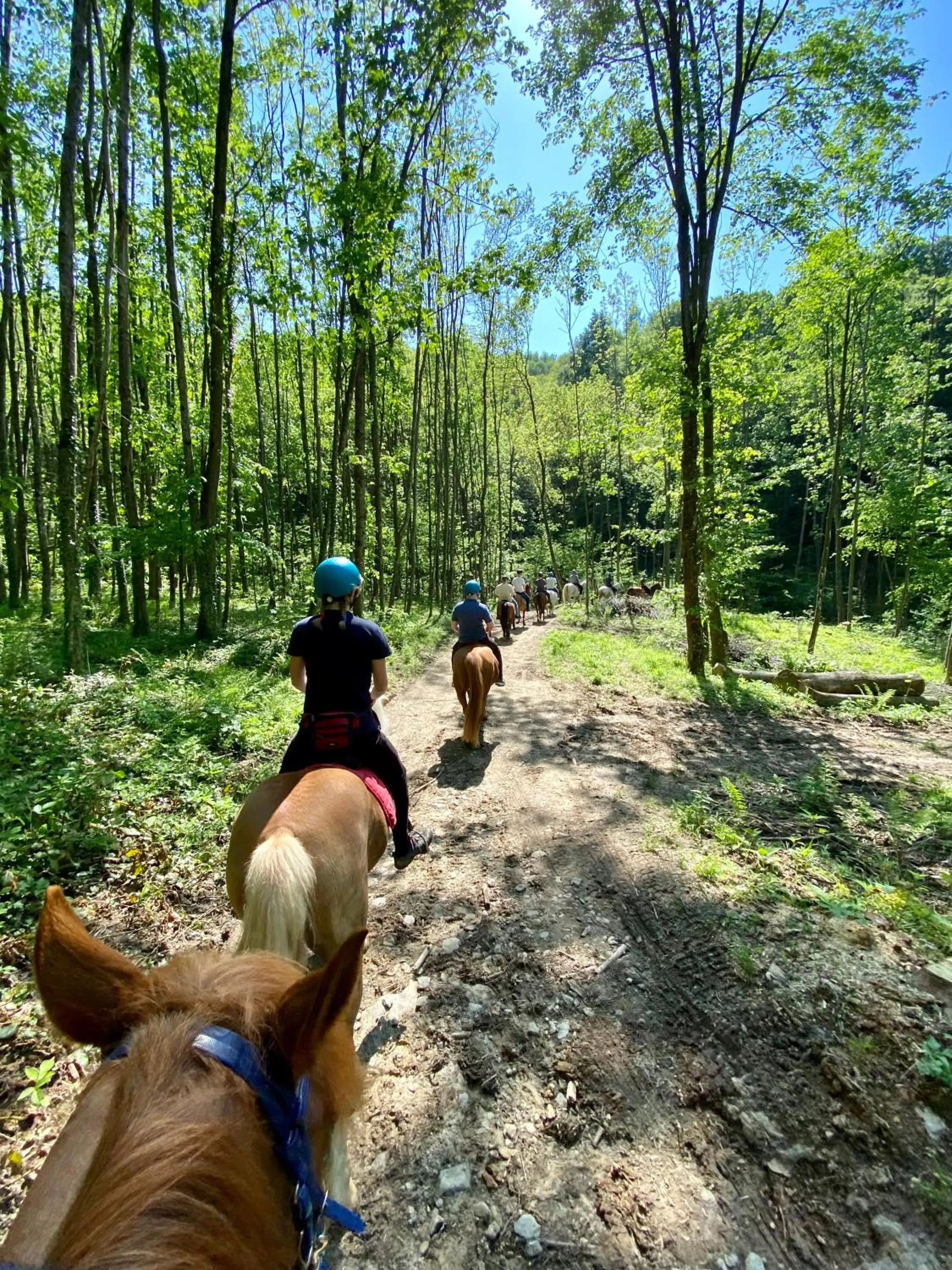 Natural landscape in HOTEL LE FONTI