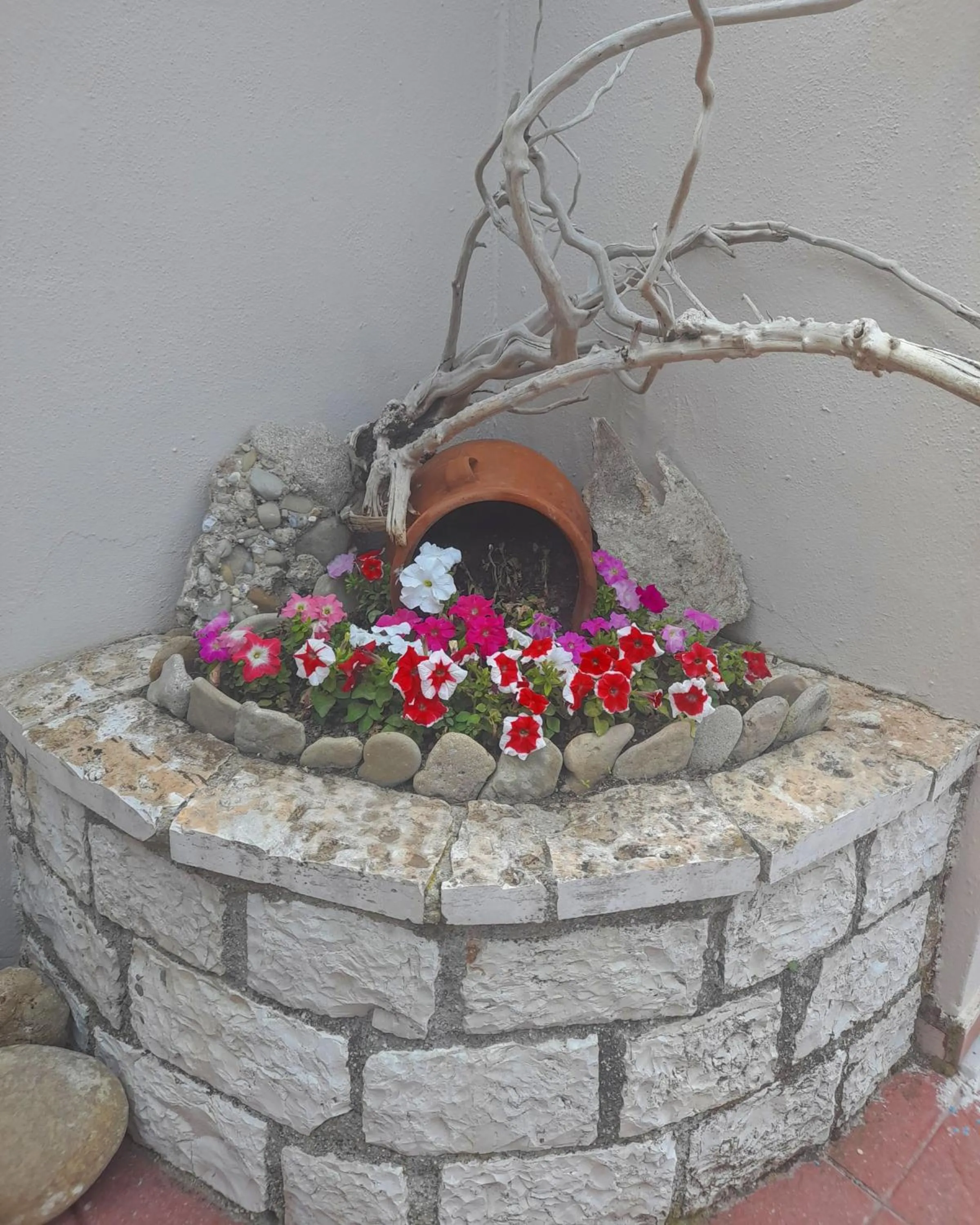 Swimming pool in Euphoria complex