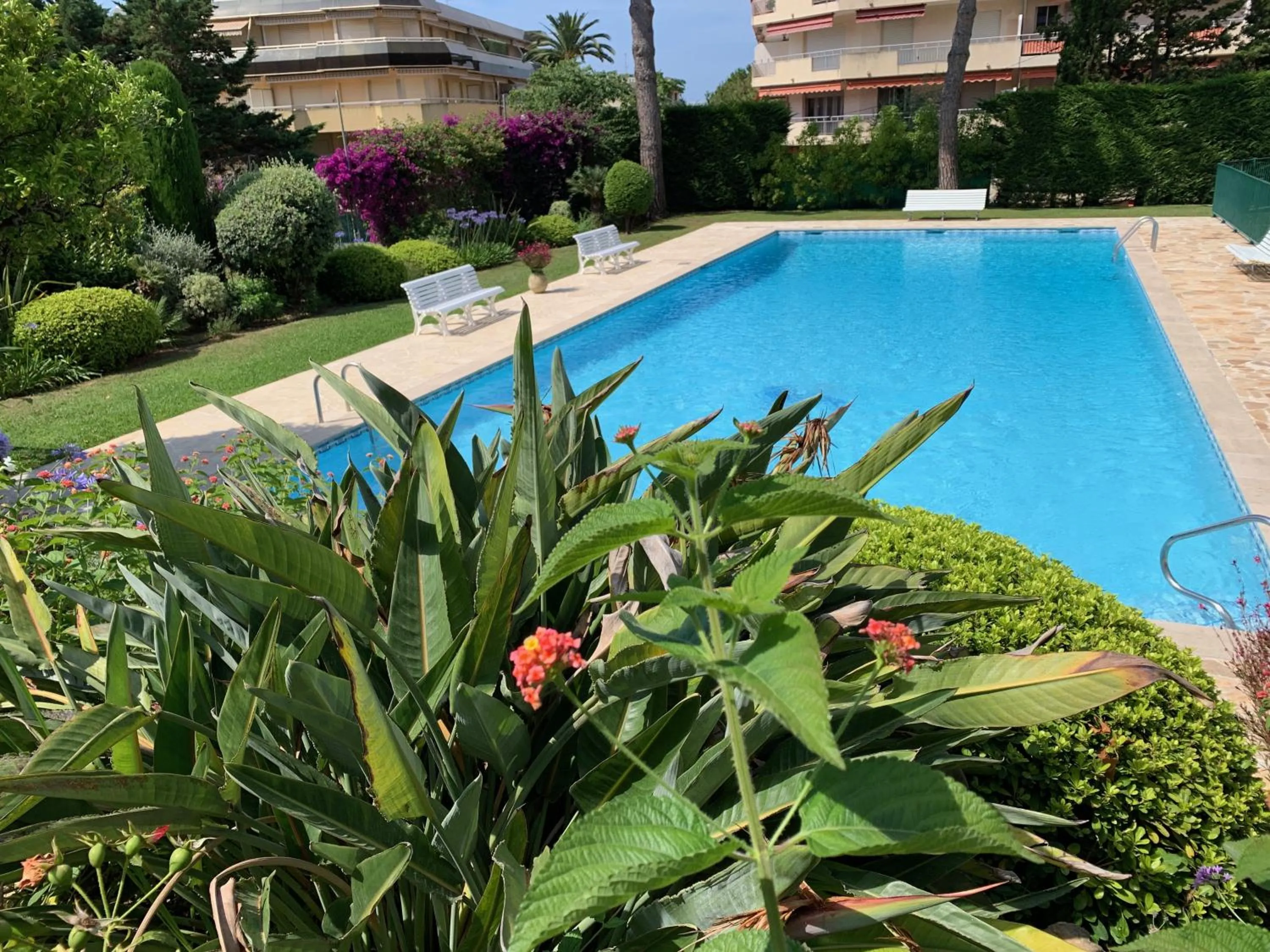 Swimming pool in Superbe Studio Le pavois