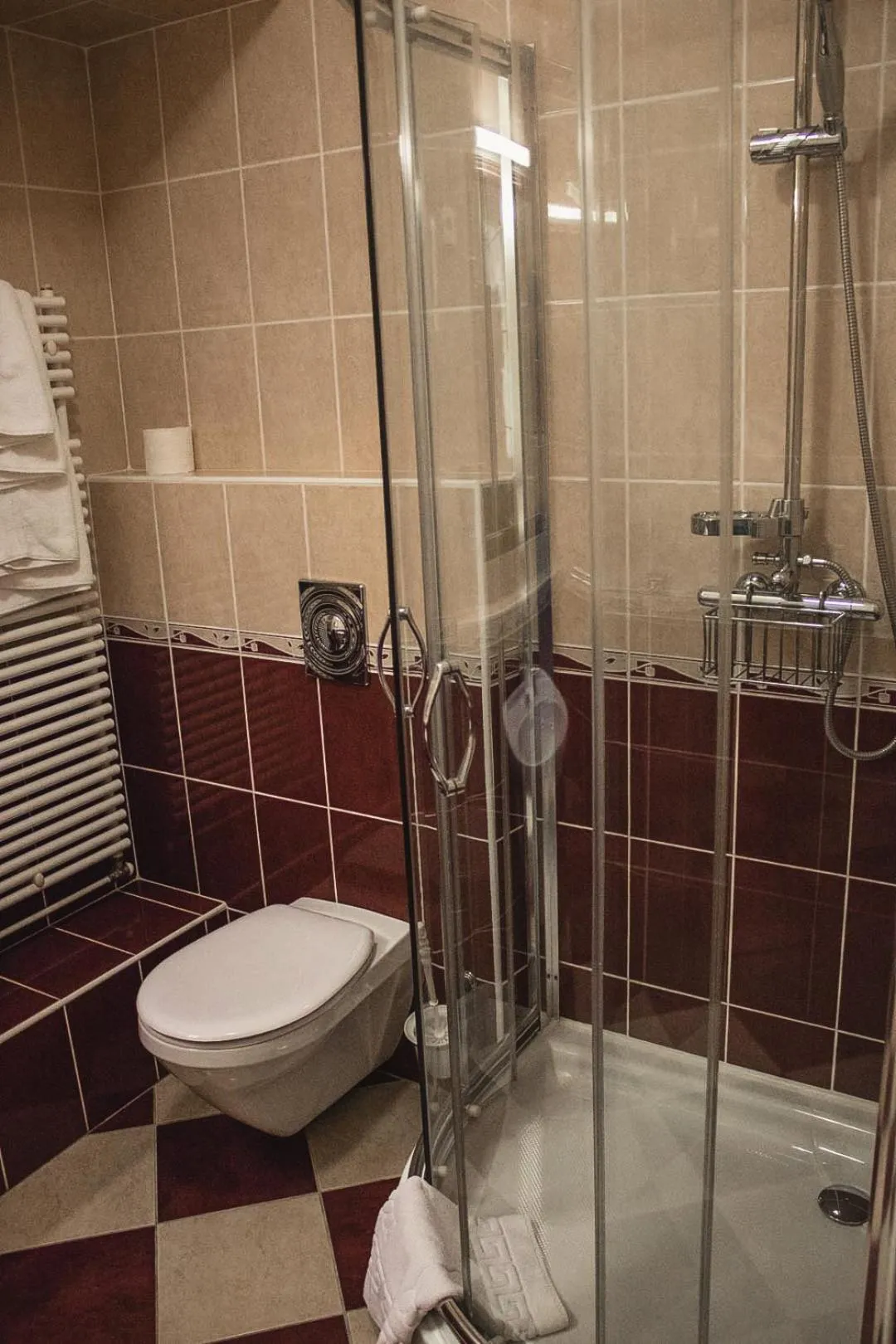 Shower in Komfort Hotel Platan