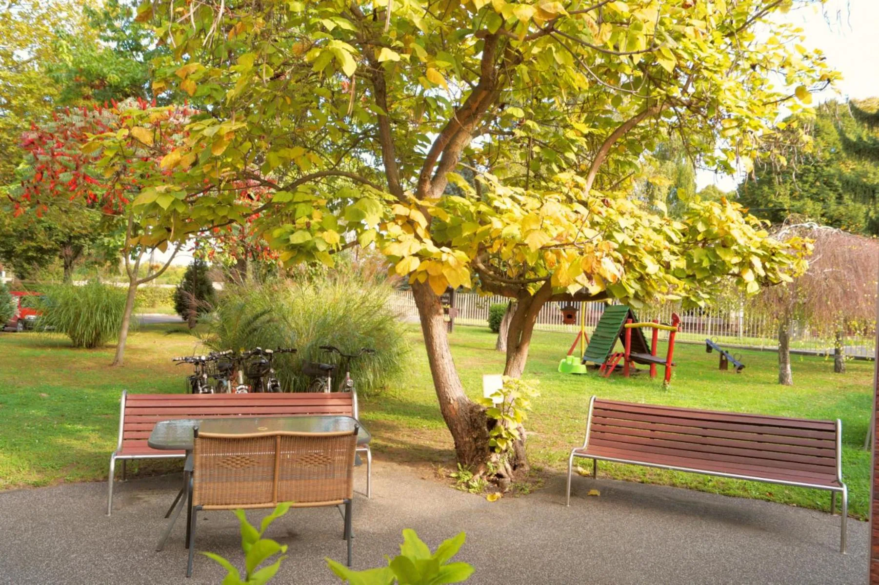 Garden in Komfort Hotel Platan