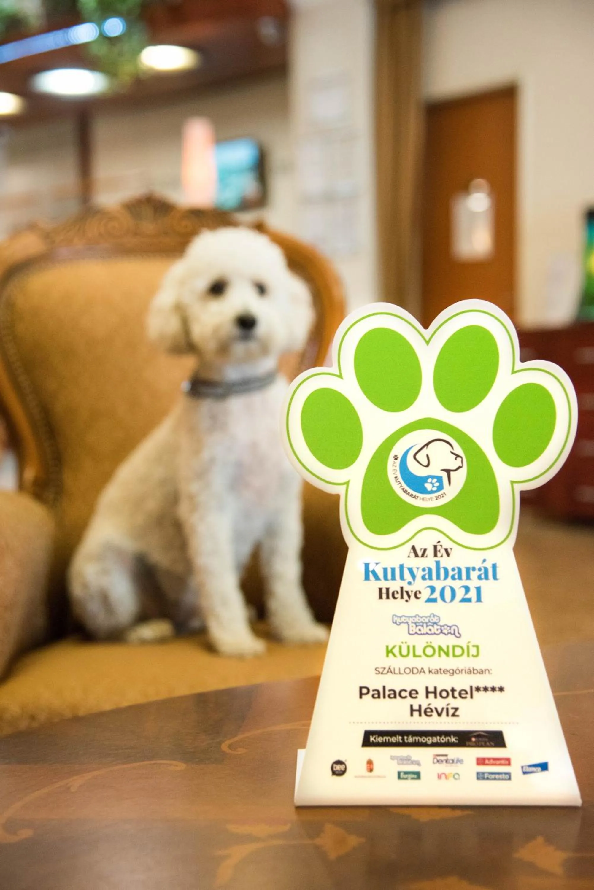 Animals in Palace Hotel Hévíz