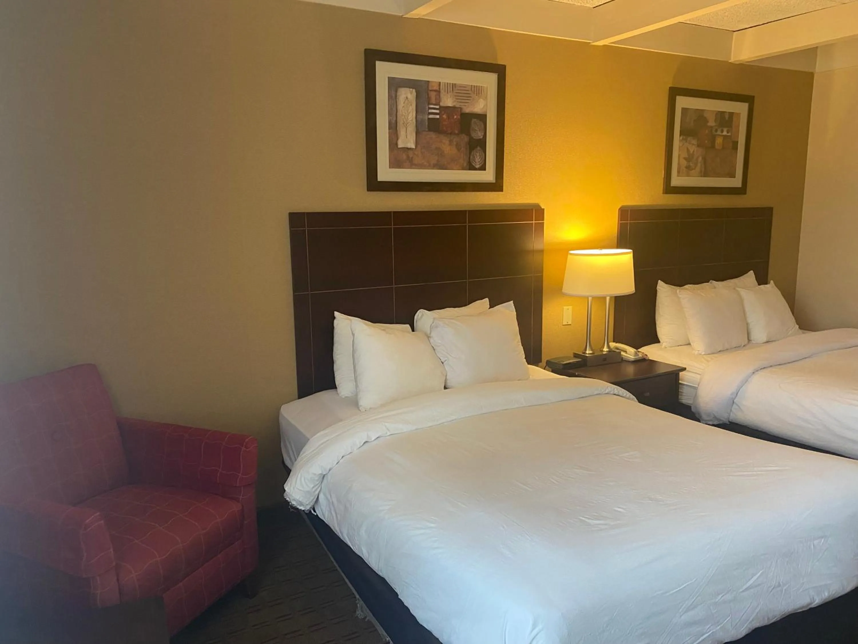 Bedroom in Suburban Studios Buffalo Airport