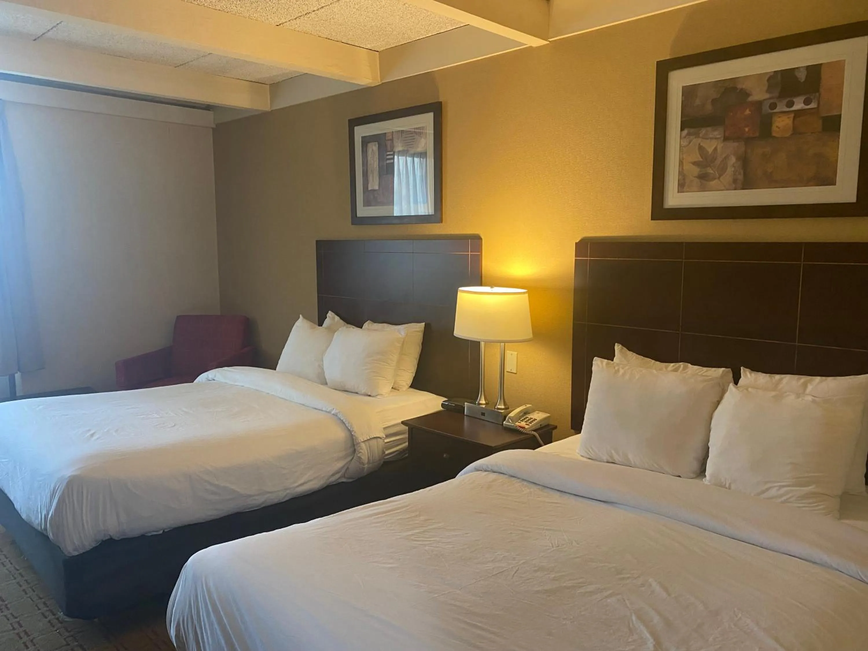 Bedroom in Suburban Studios Buffalo Airport