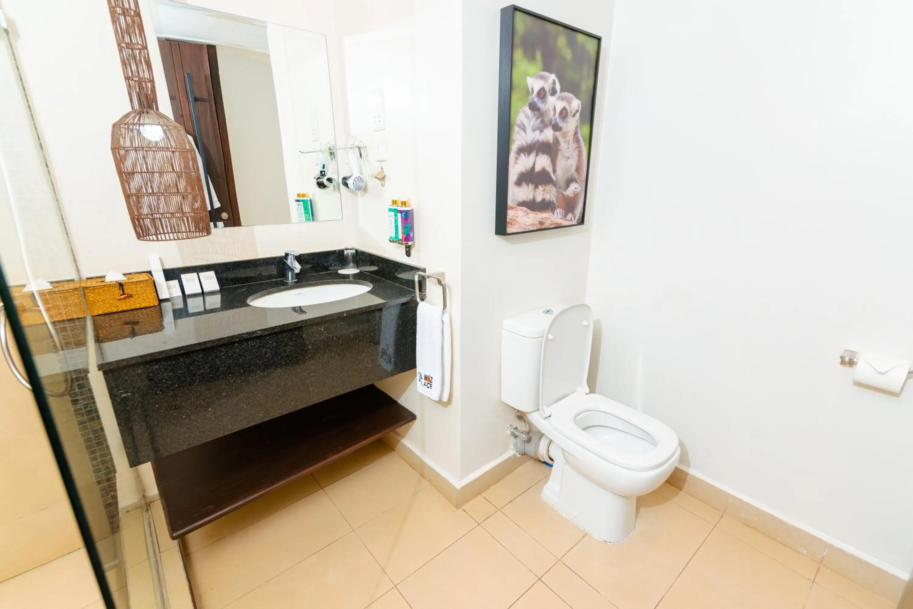 Toilet in Ulwazi Place Hotel by Trianum