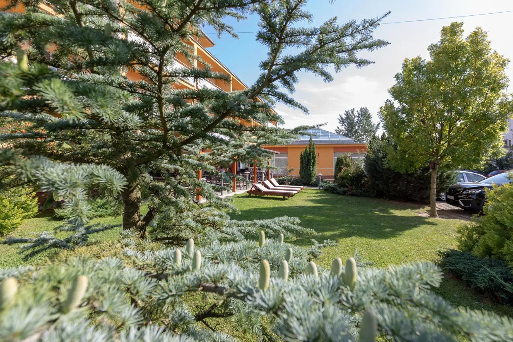 Garden in Hotel Vital