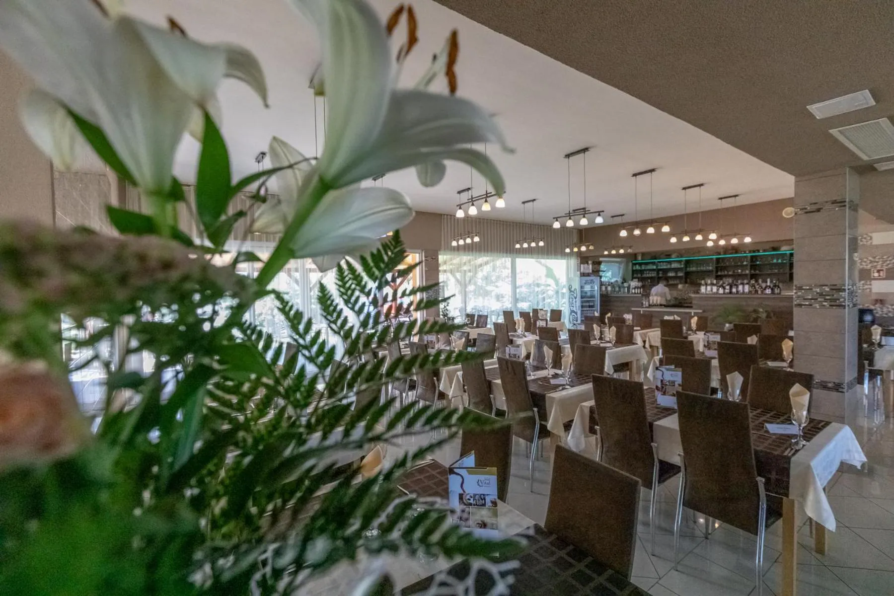 Area and facilities in Hotel Vital