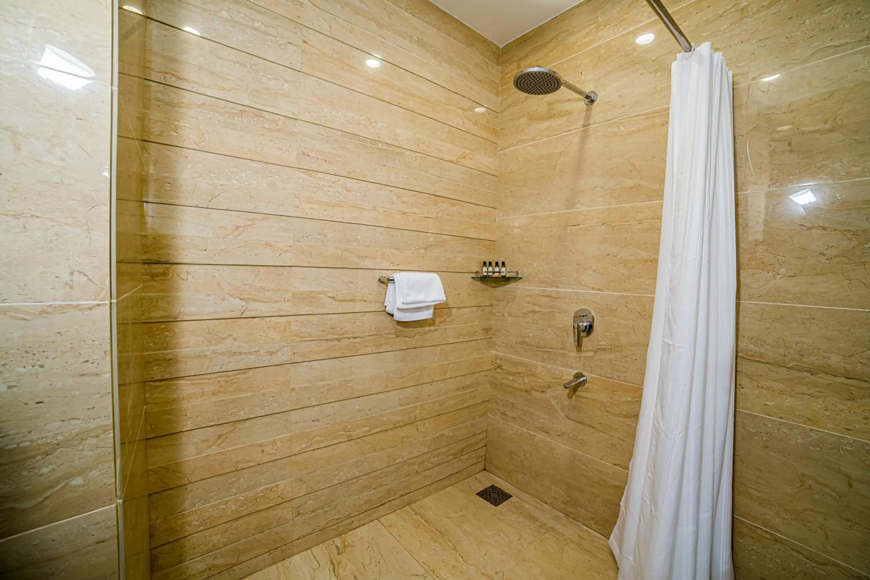 Shower in Best Western Dalhousie