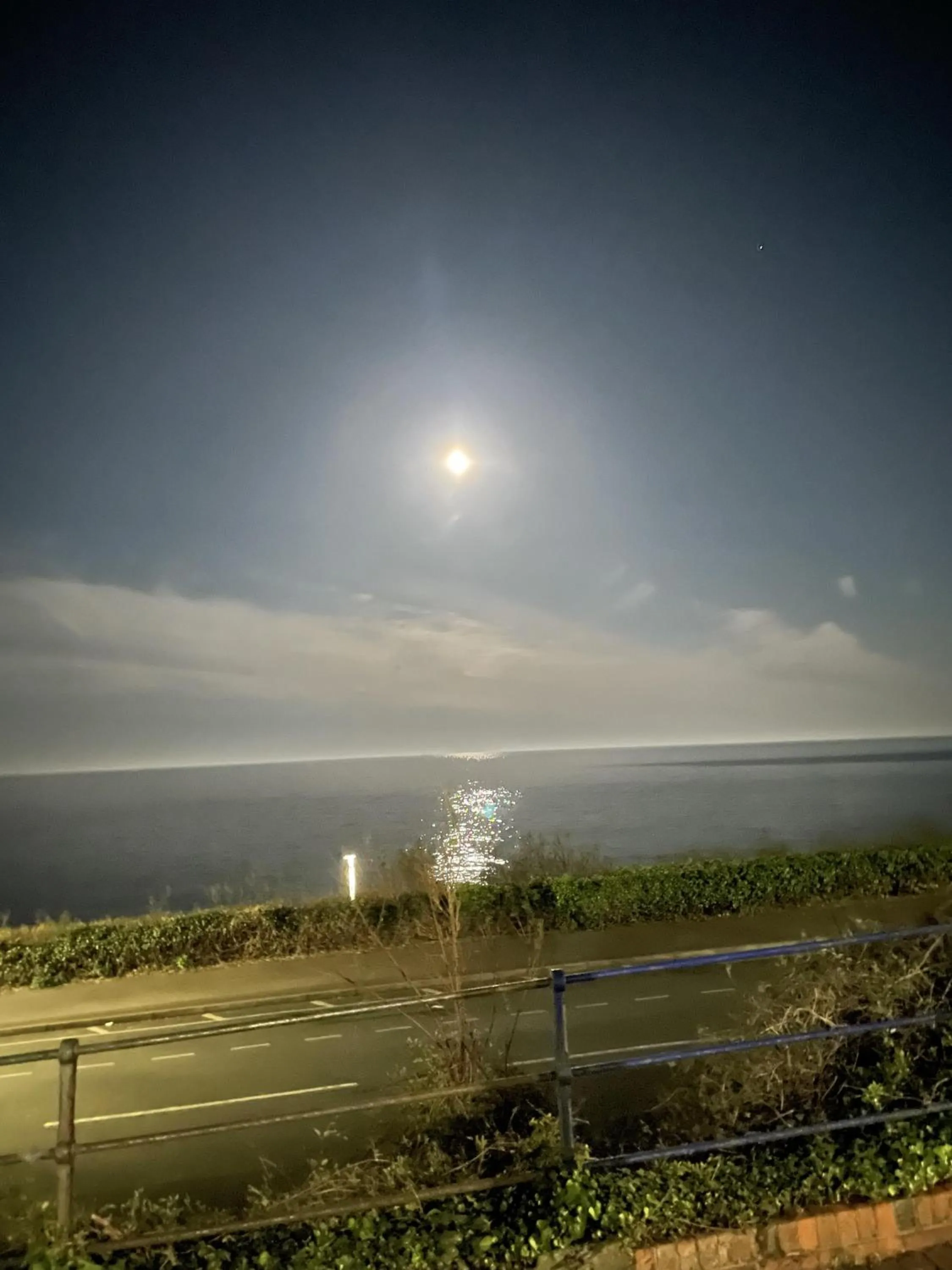 Beach in The Halcyon