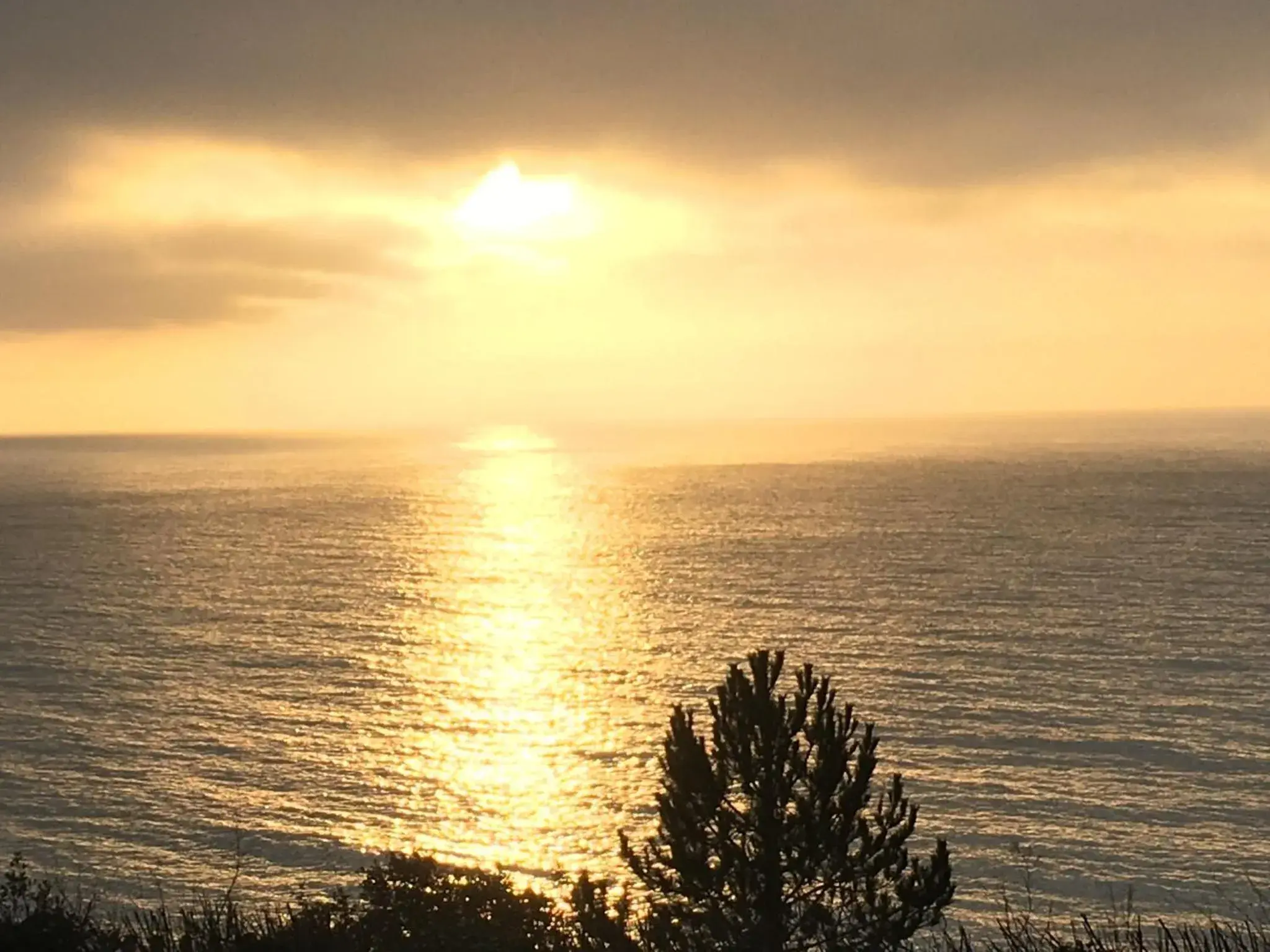 View (from property/room) in The Halcyon View (from property/room) in The Halcyon