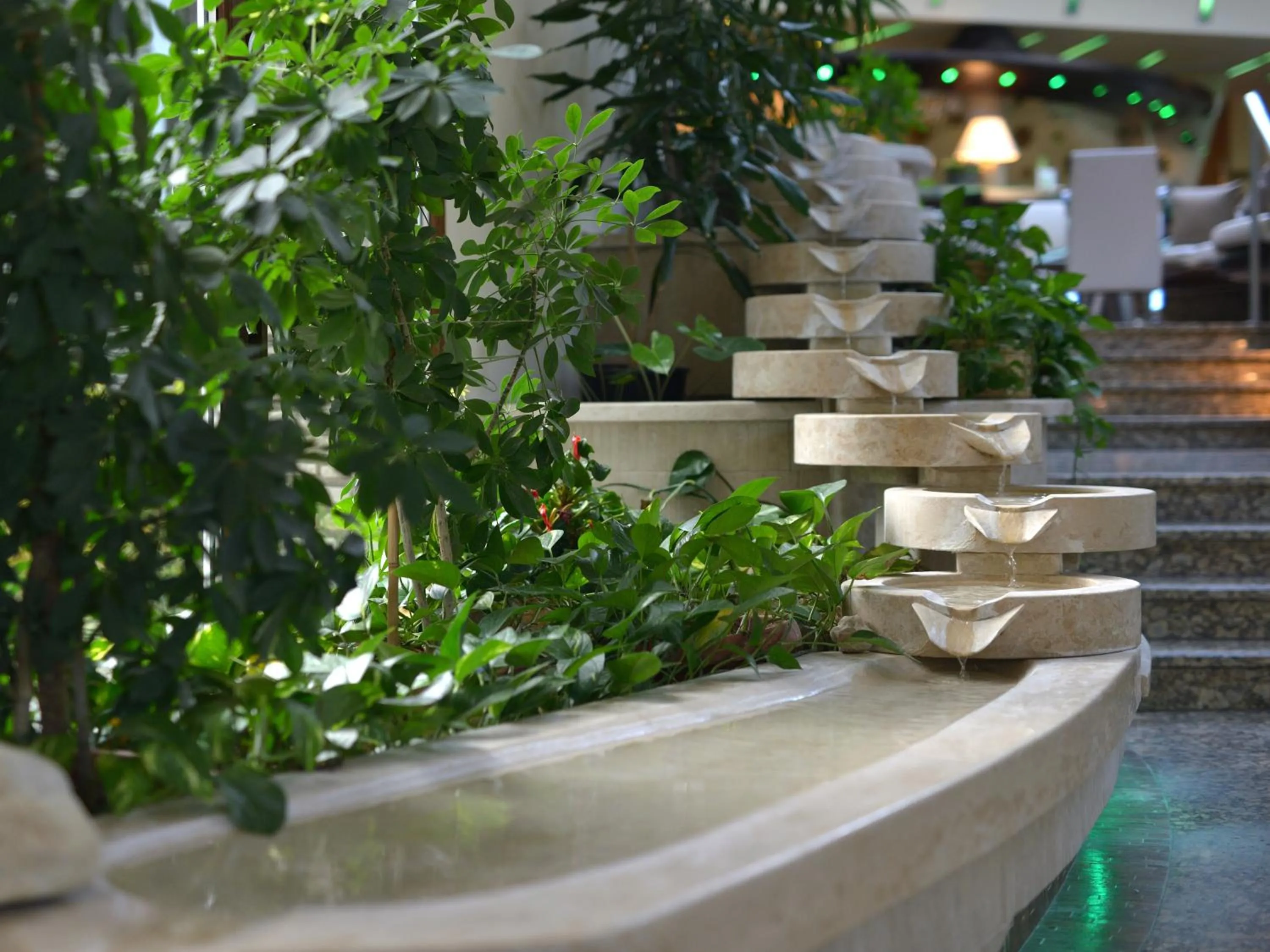 Lobby or reception in Hotel Carbona Thermal Spa