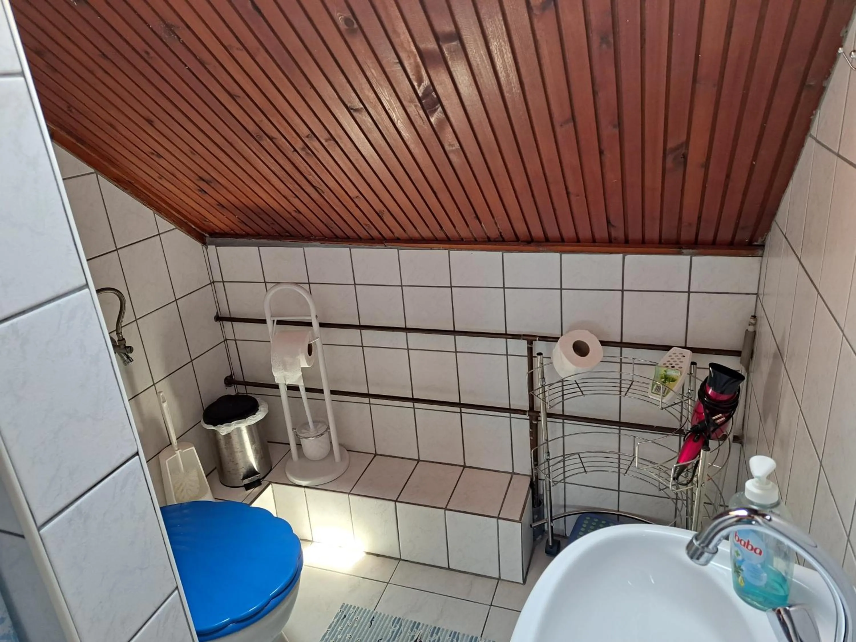 Bathroom in Pink Tulip Apartment House