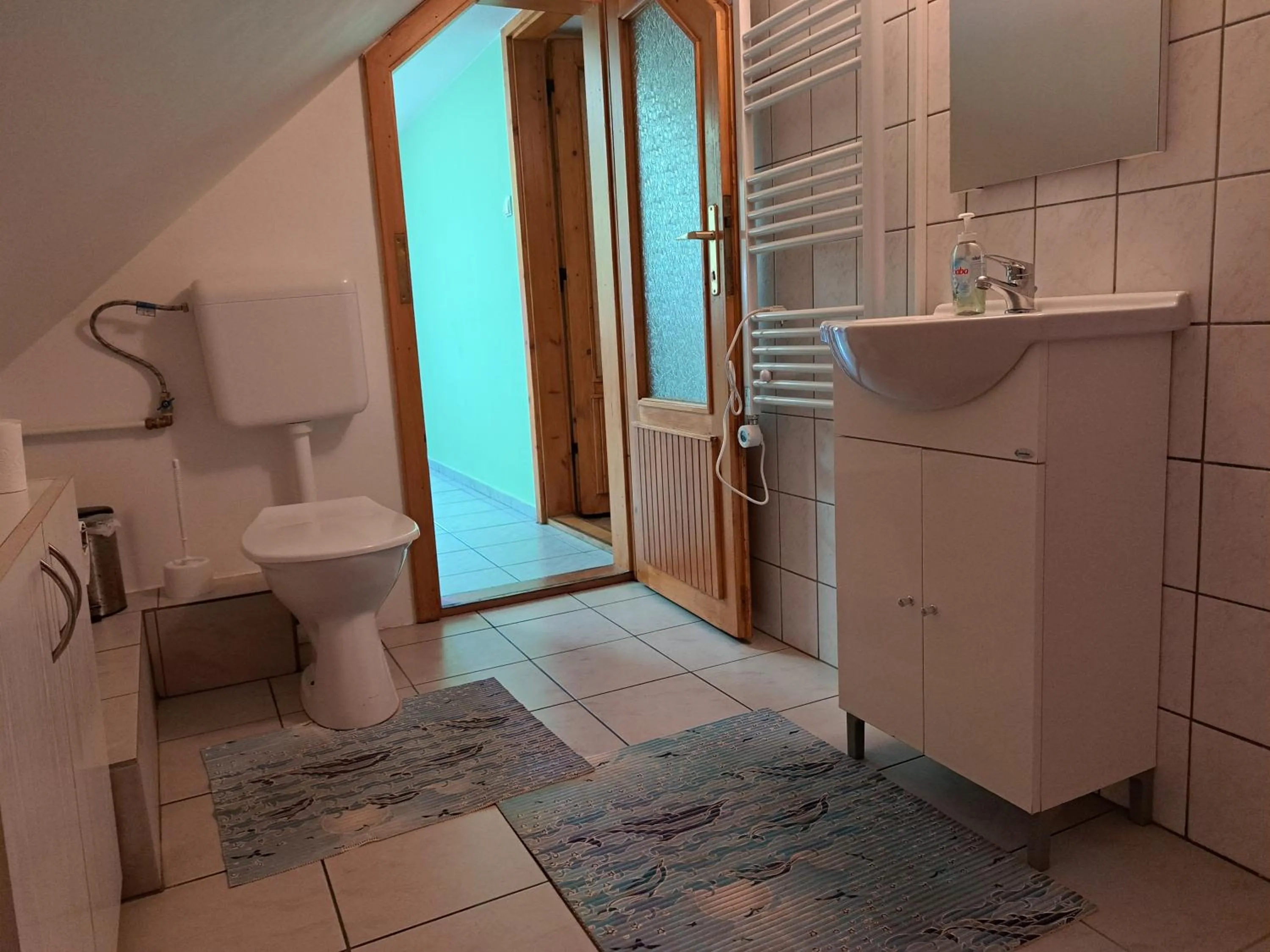 Bathroom in Pink Tulip Apartment House