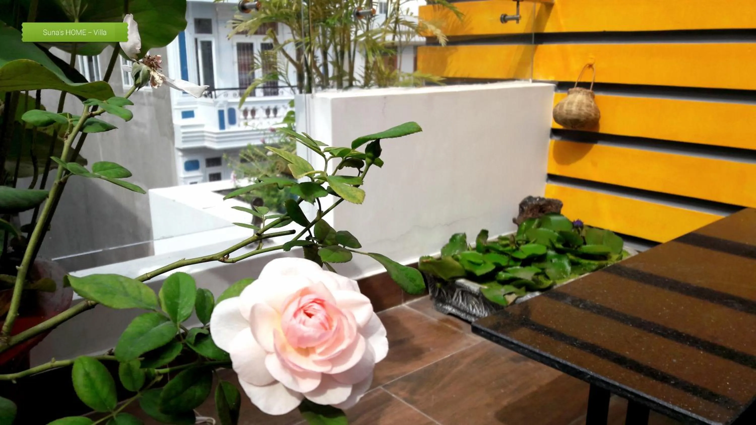 Communal lounge/ TV room in Sunas Home - Villa in Vung Tau