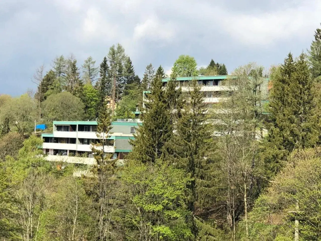 One-Bedroom Apartment - single occupancy in Apartment Harzblick -NEU MODERNISIERT- One-Bedroom Apartment - single occupancy in Apartment Harzblick -NEU MODERNISIERT-