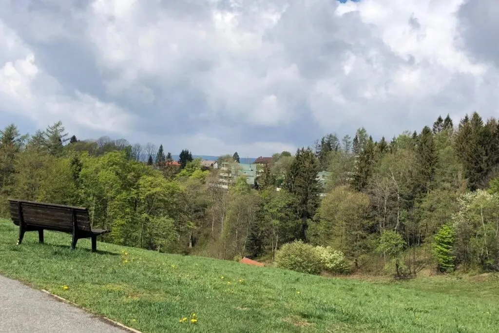 Apartment Harzblick -NEU MODERNISIERT-